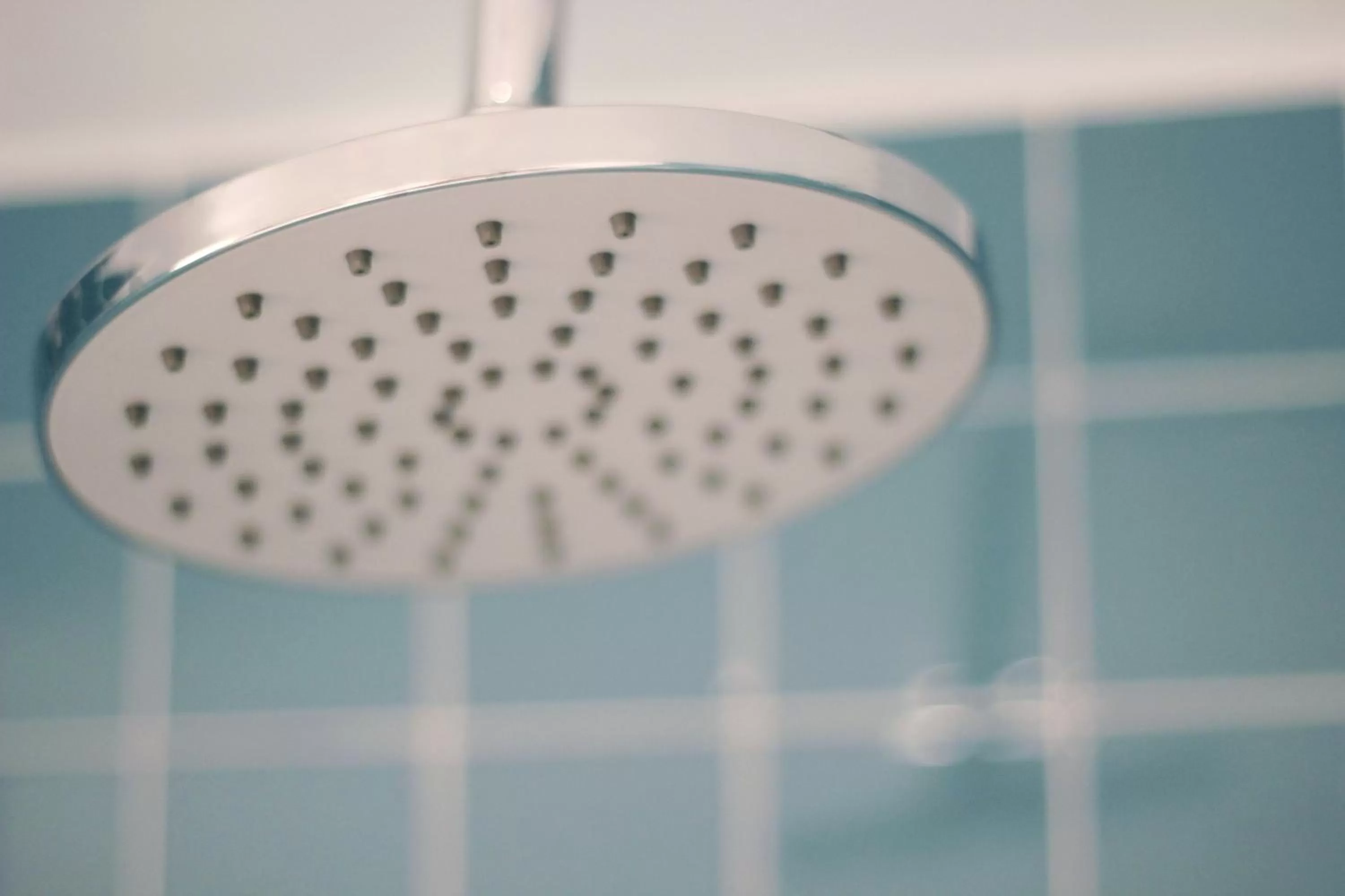 Shower in Magnolia Guesthouse