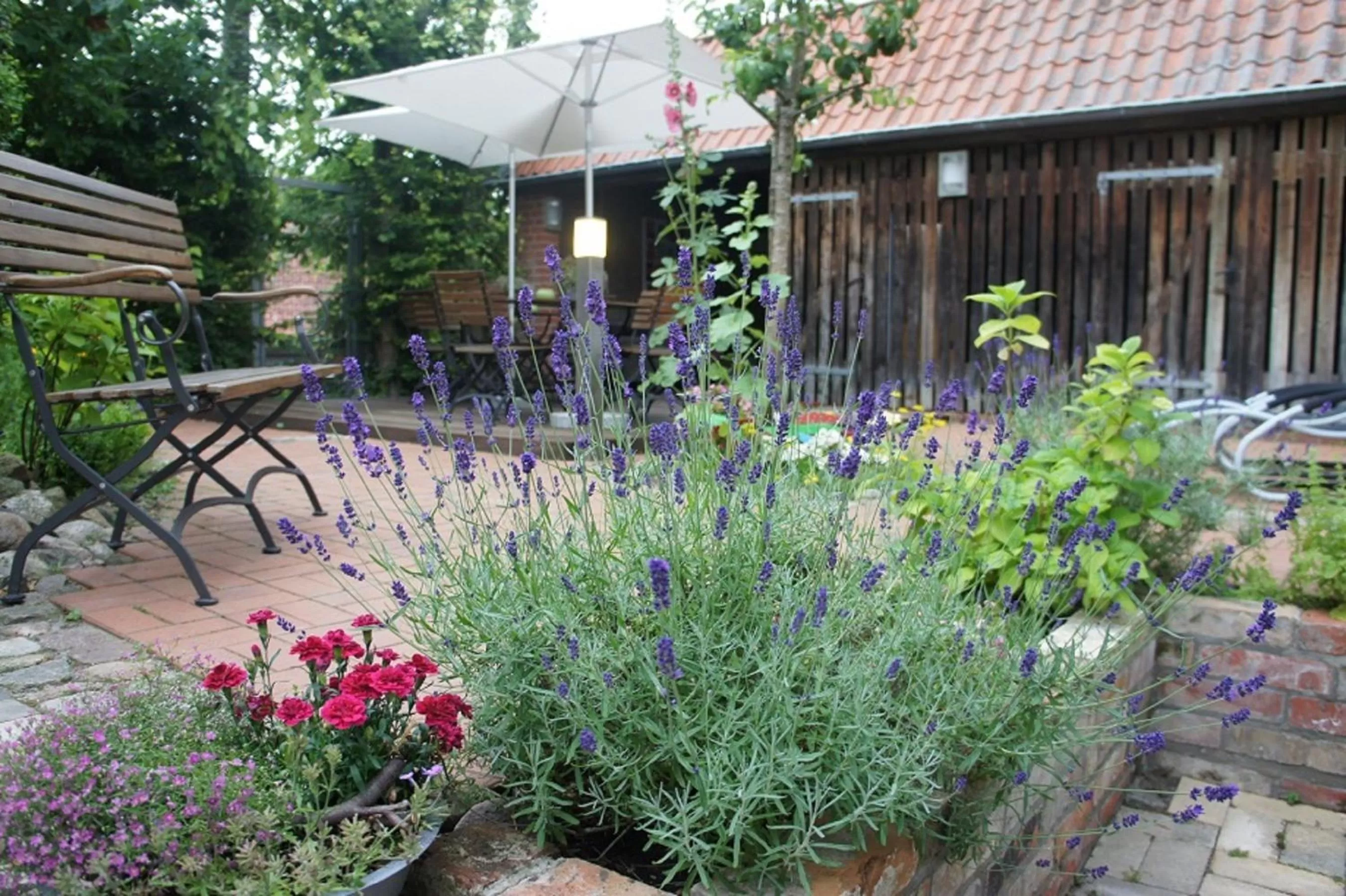 Garden in Designhotel 1690 & Apartments