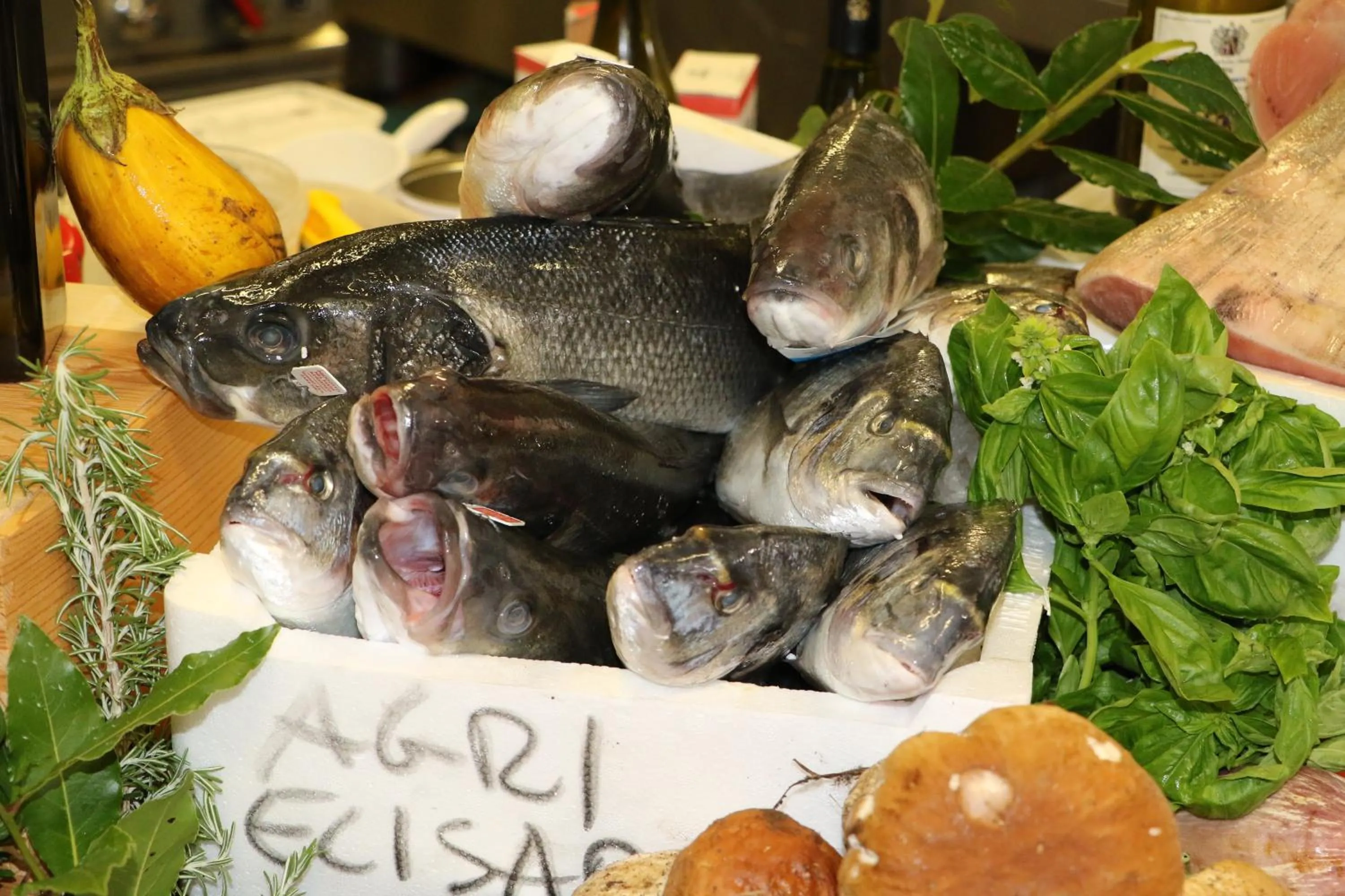 Area and facilities in Agrihotel Elisabetta