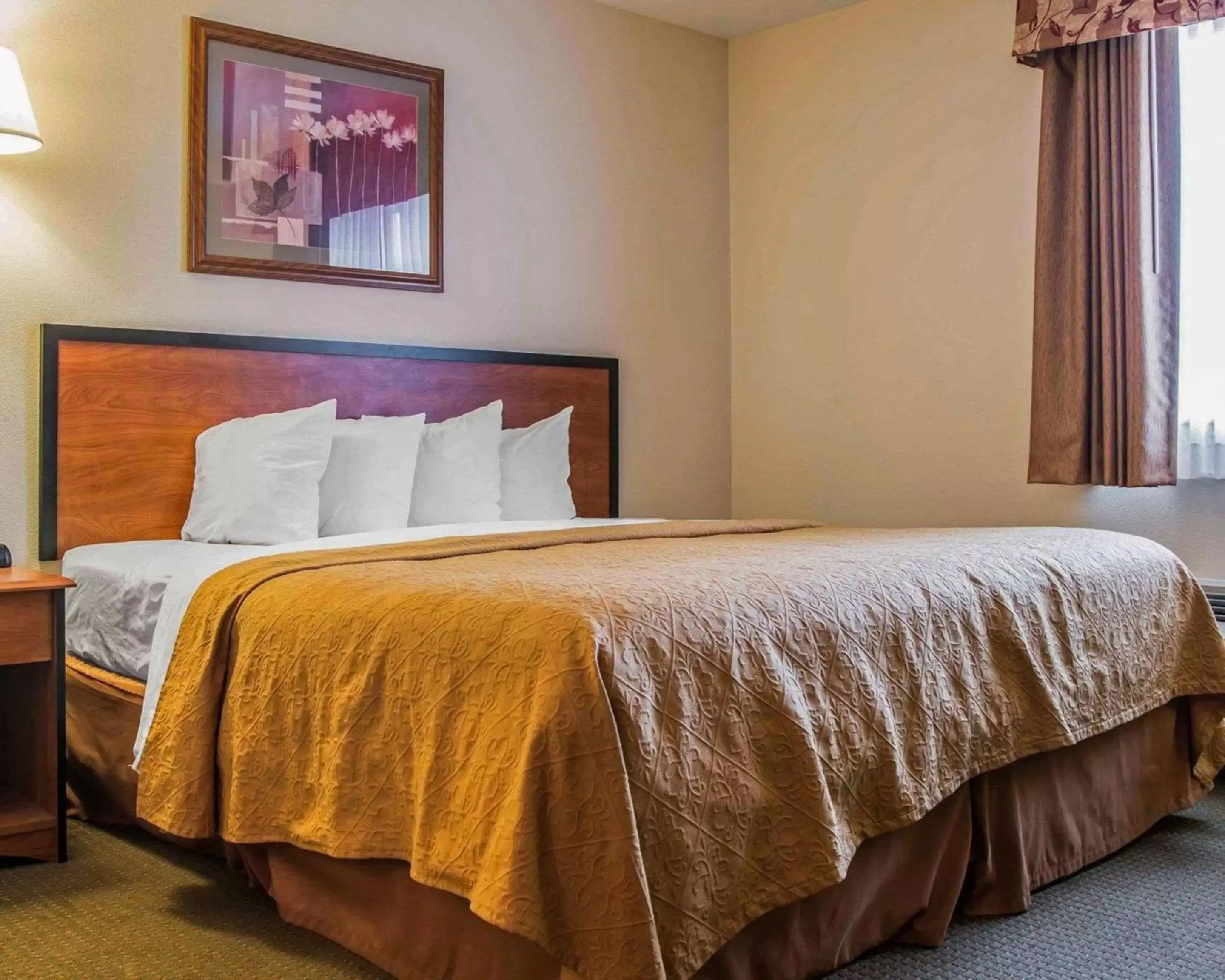 Quality Inn Durand I-69 Quality Inn Durand I-69