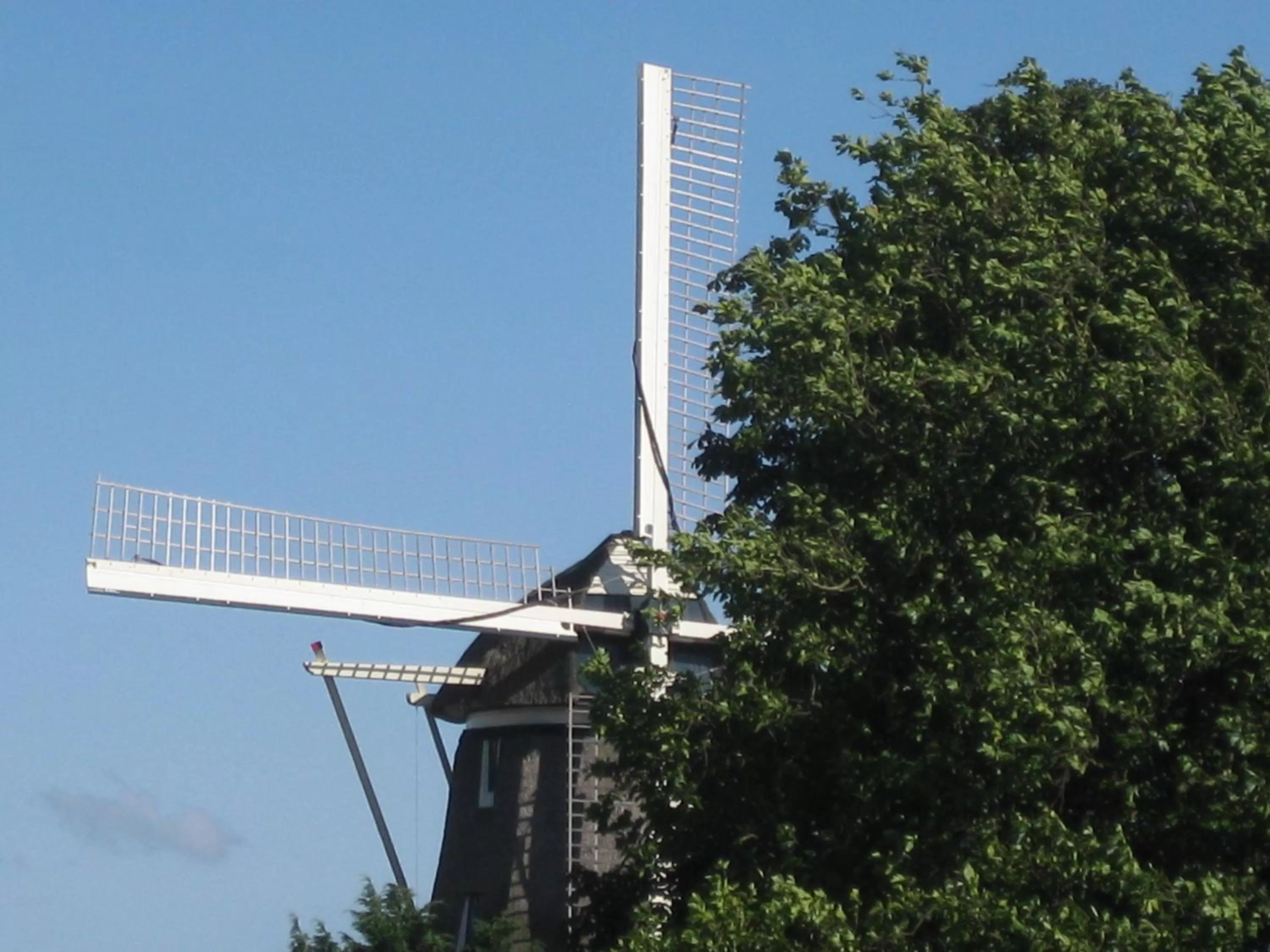 Area and facilities, Property Building in Quarenta Studio