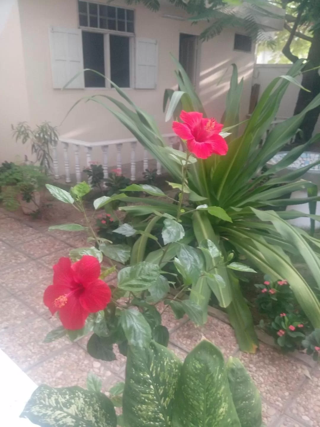 Patio in Résidence Tichani Club