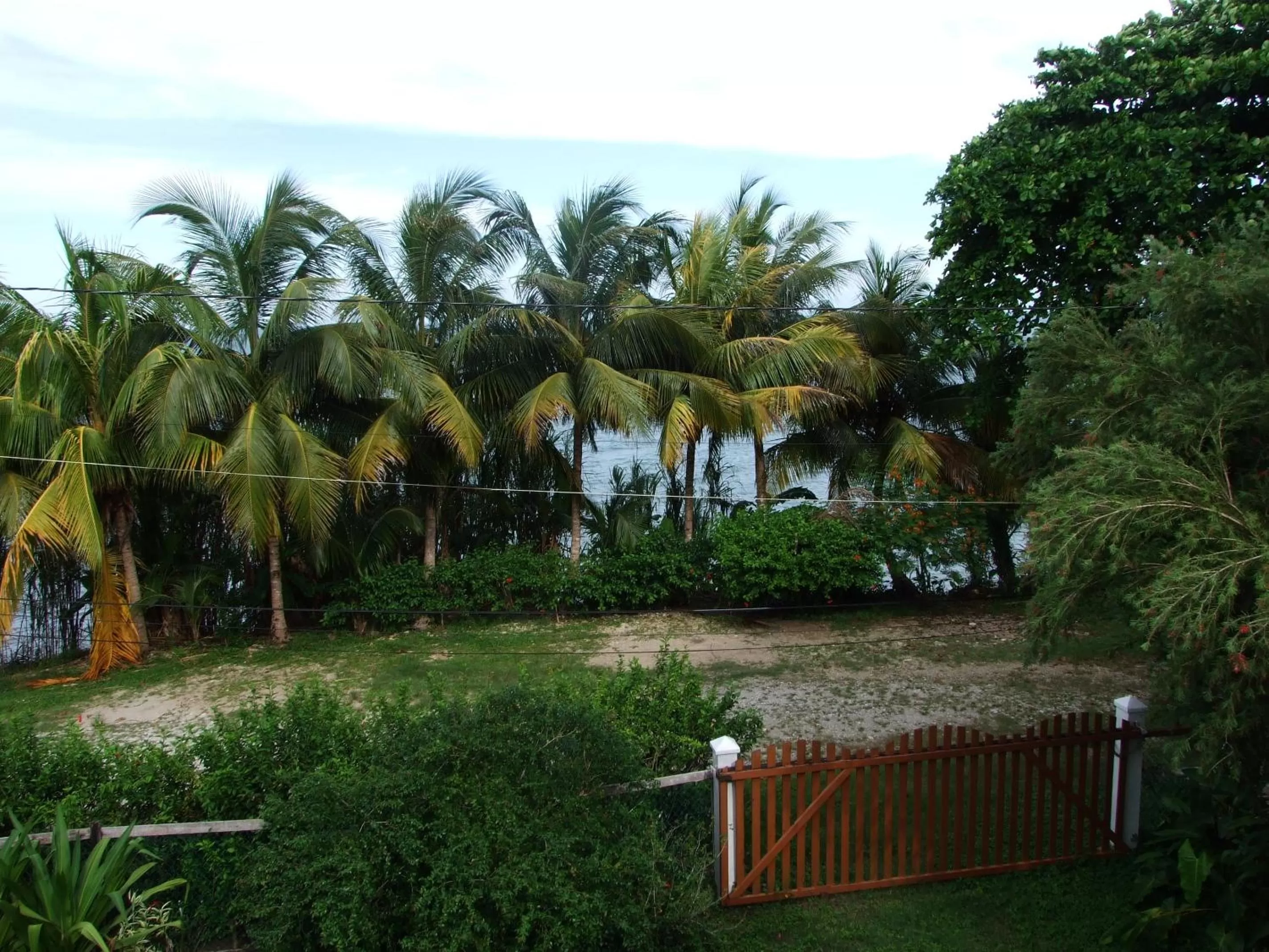 Sea view in BlueBelize B&B