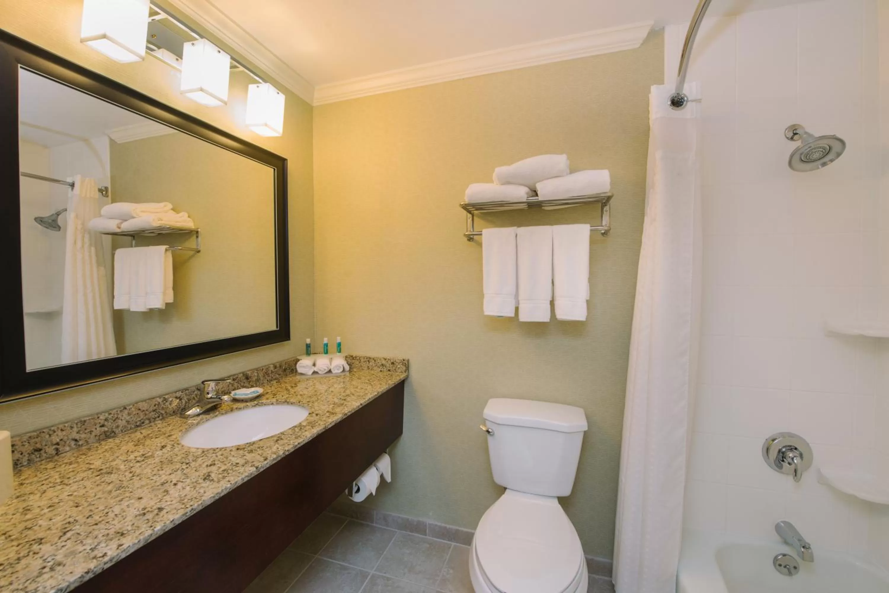 Bathroom in Holiday Inn Express and Suites Merrimack by IHG