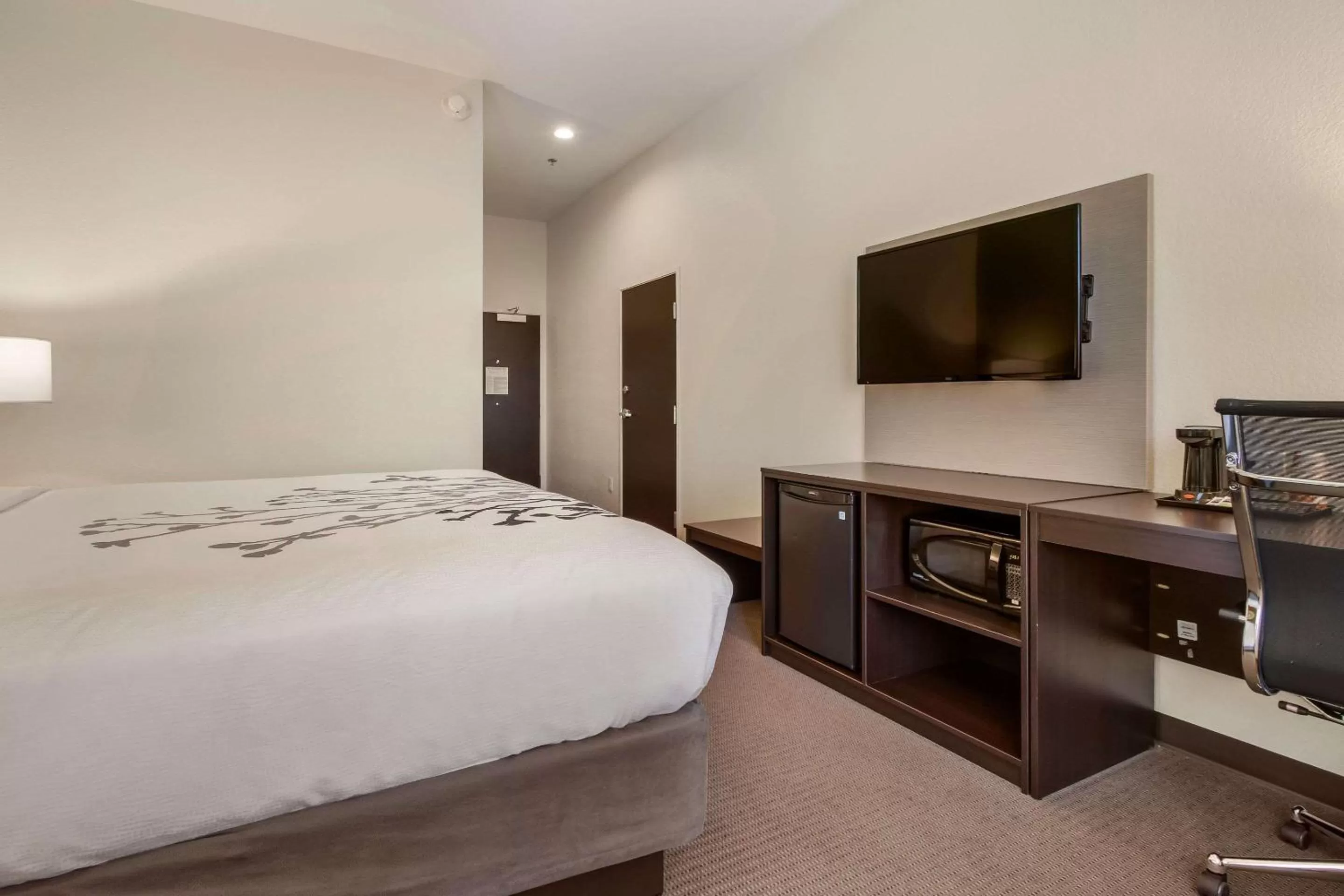 Photo of the whole room, Bed in Sleep Inn Boardman