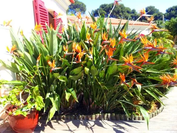 Garden in B&B Val D'azur