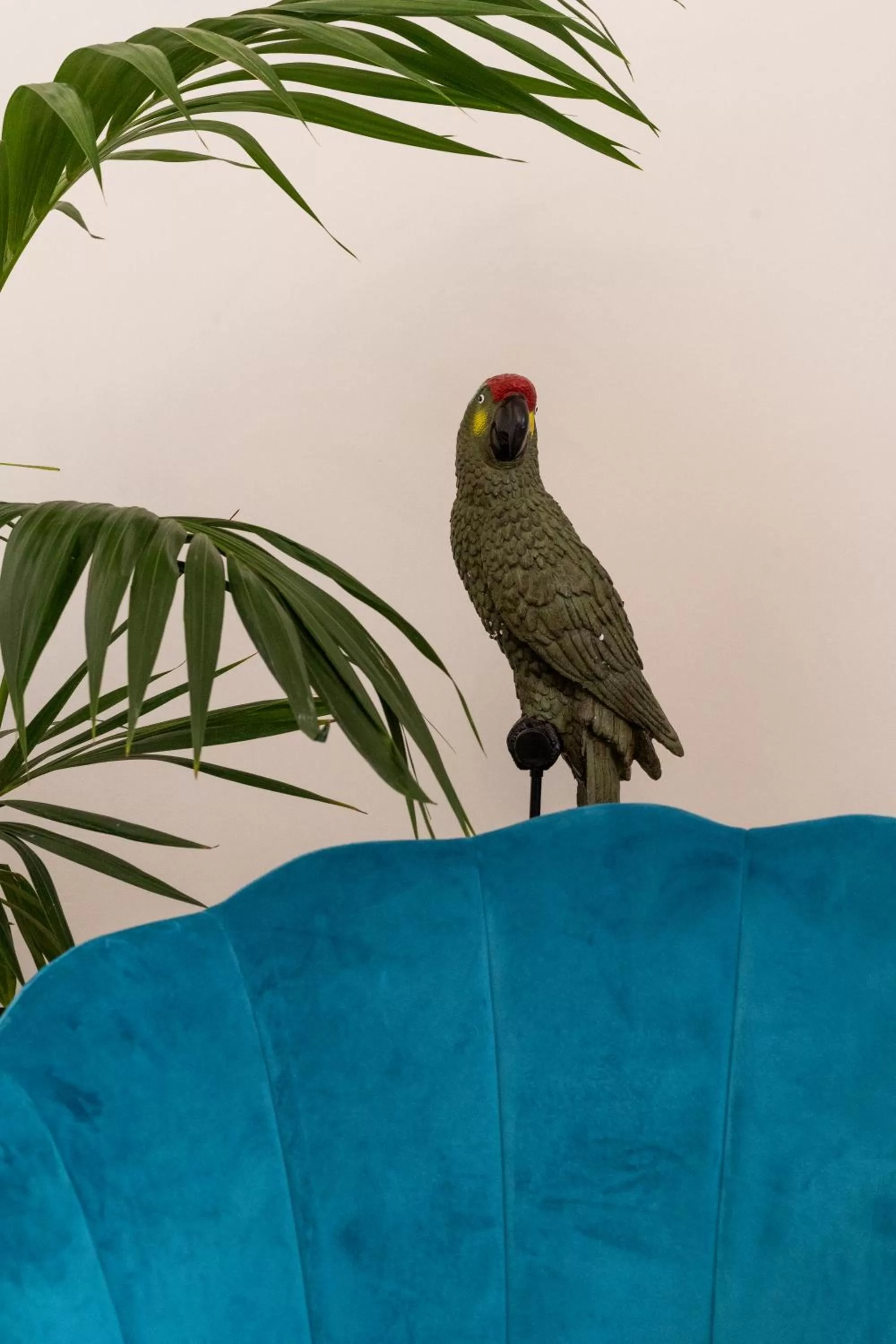 Other Animals in Villa Costanza sorrento B&b