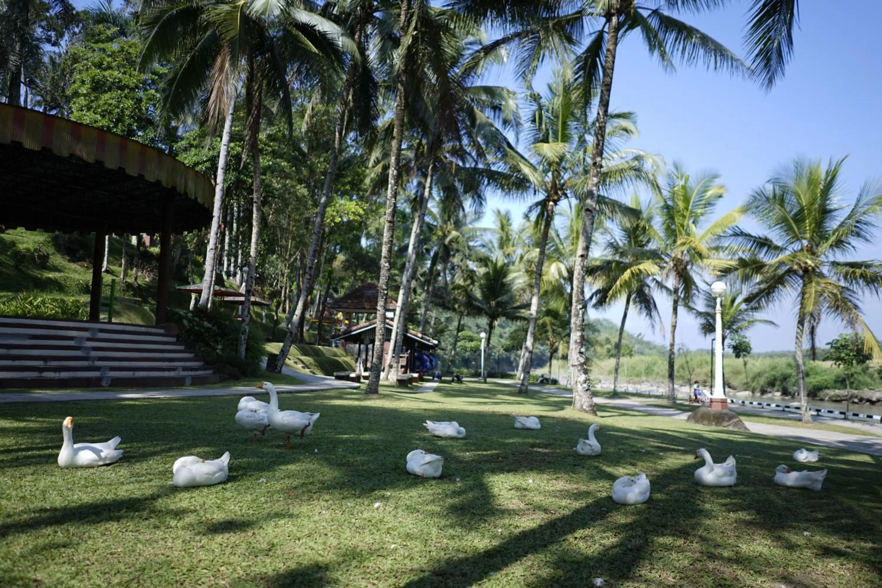 Garden in Puri Asri Hotel & Resort