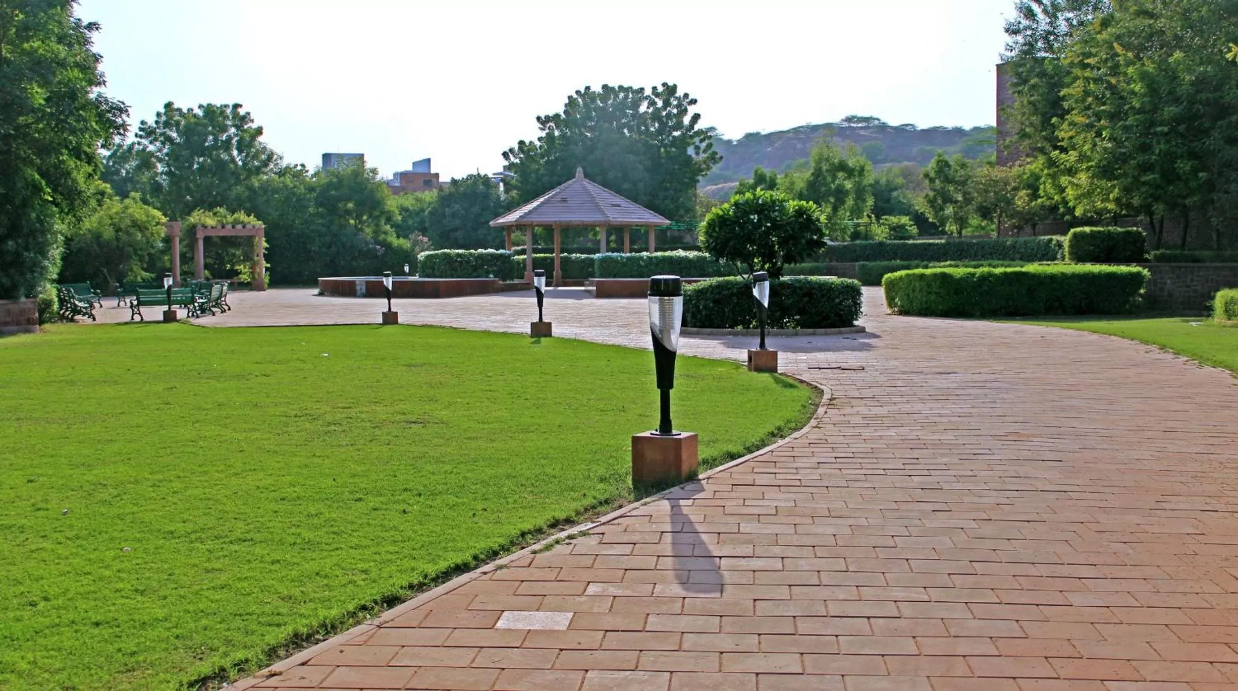 Neighbourhood in The Almond Tree