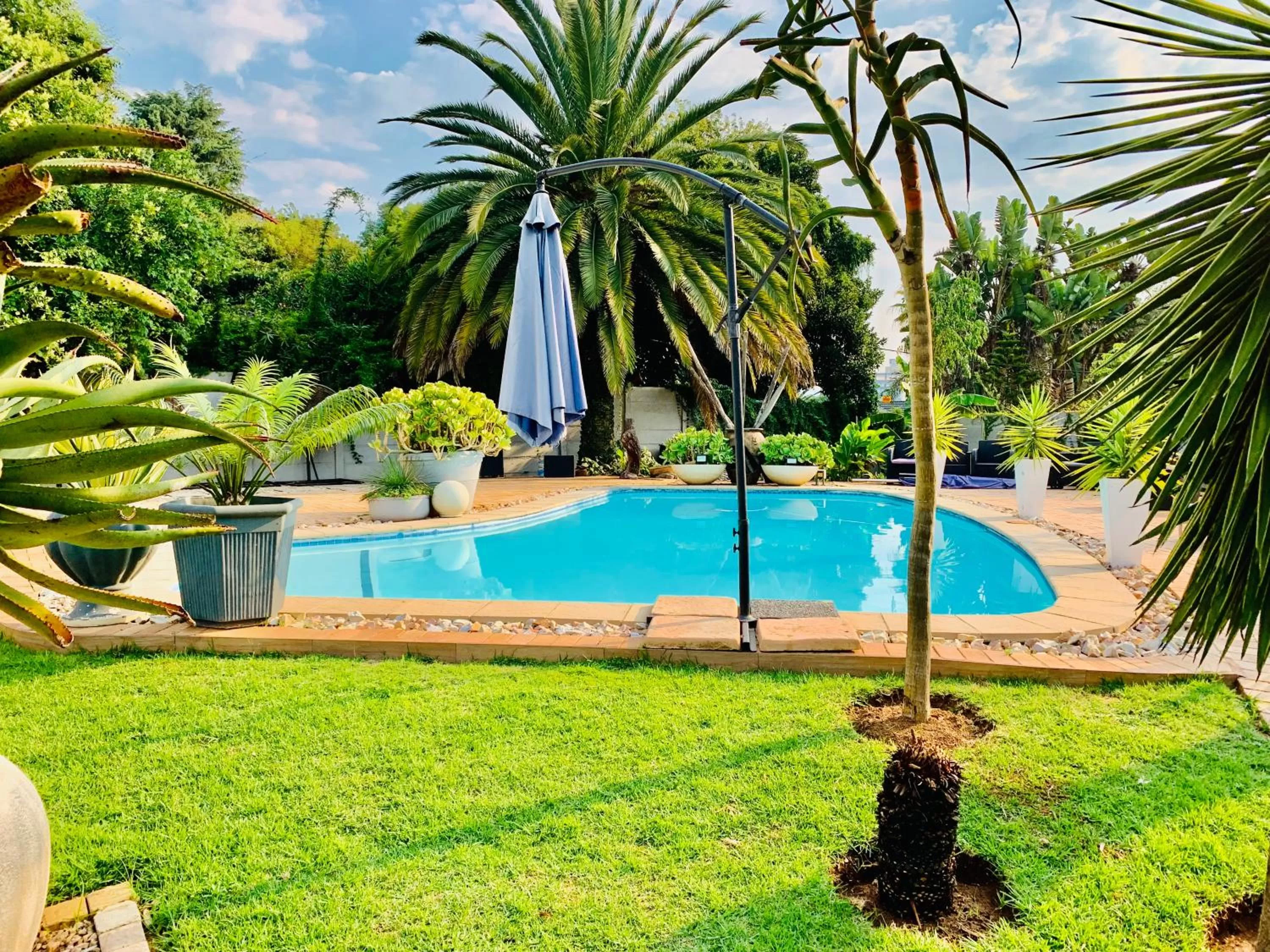 Garden, Swimming Pool in 24 On Basil Inventive suites