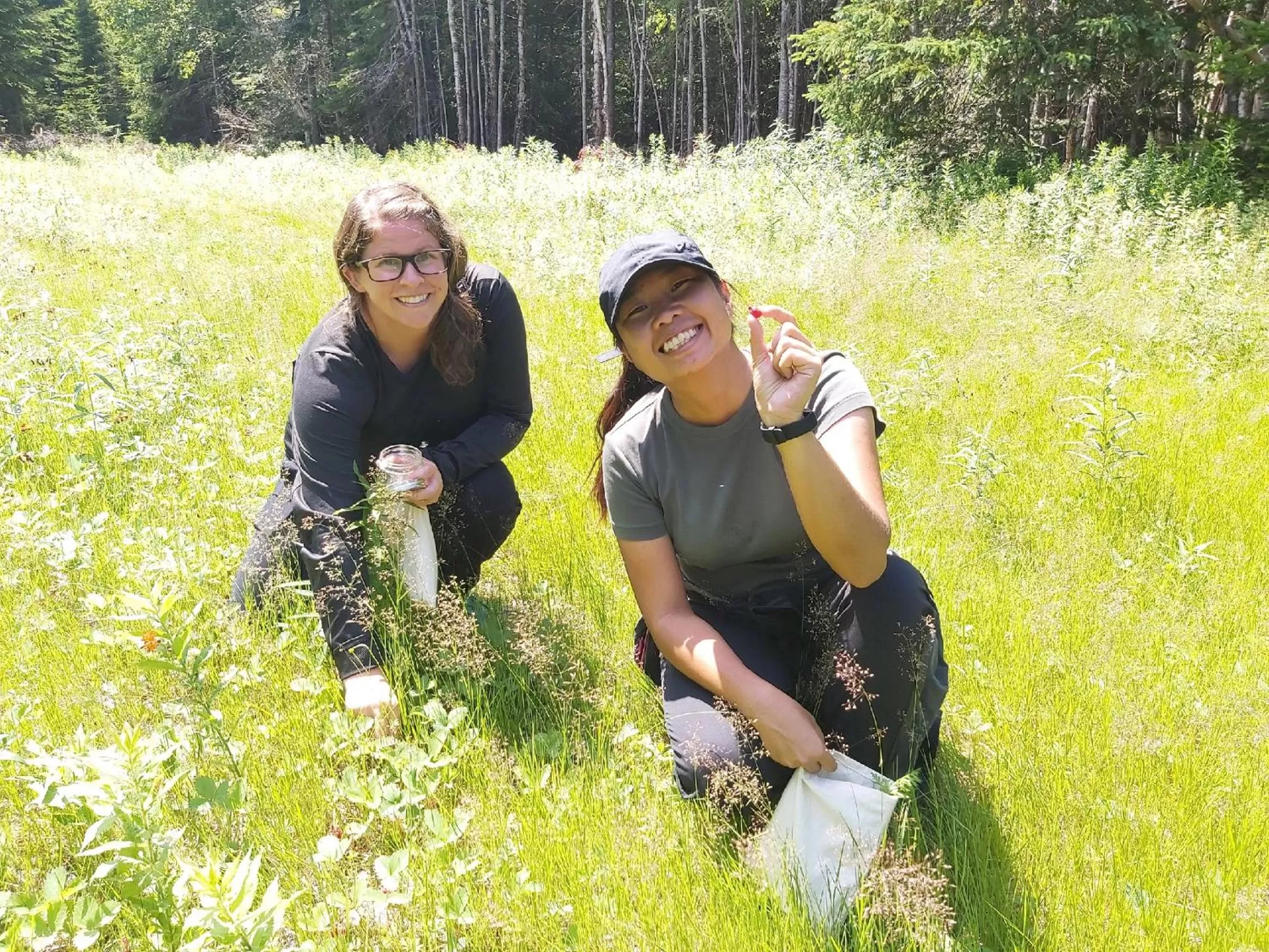 Upper Humber Settlement a FarmStay B&B