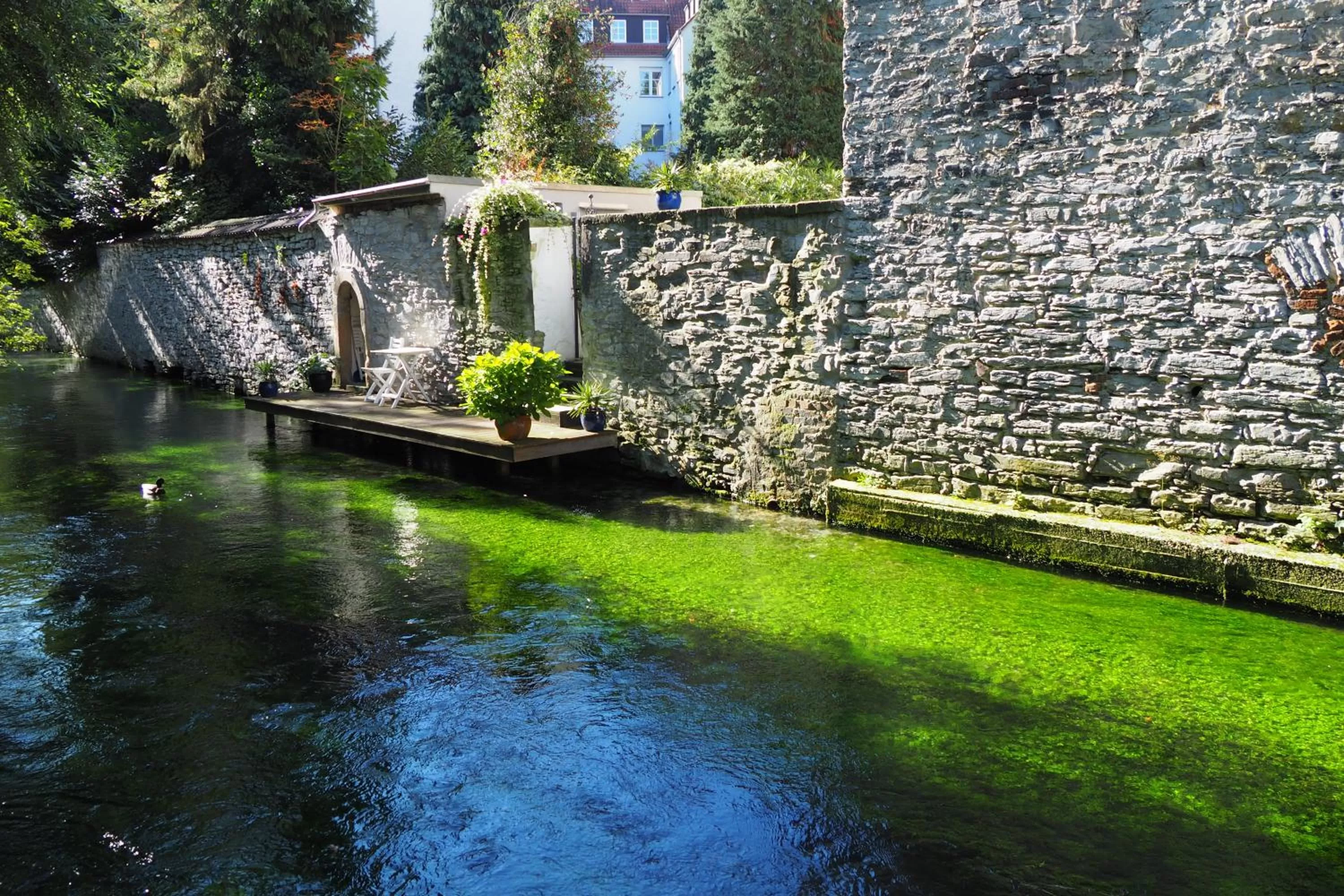 Natural landscape in Aparthotel Paderborn