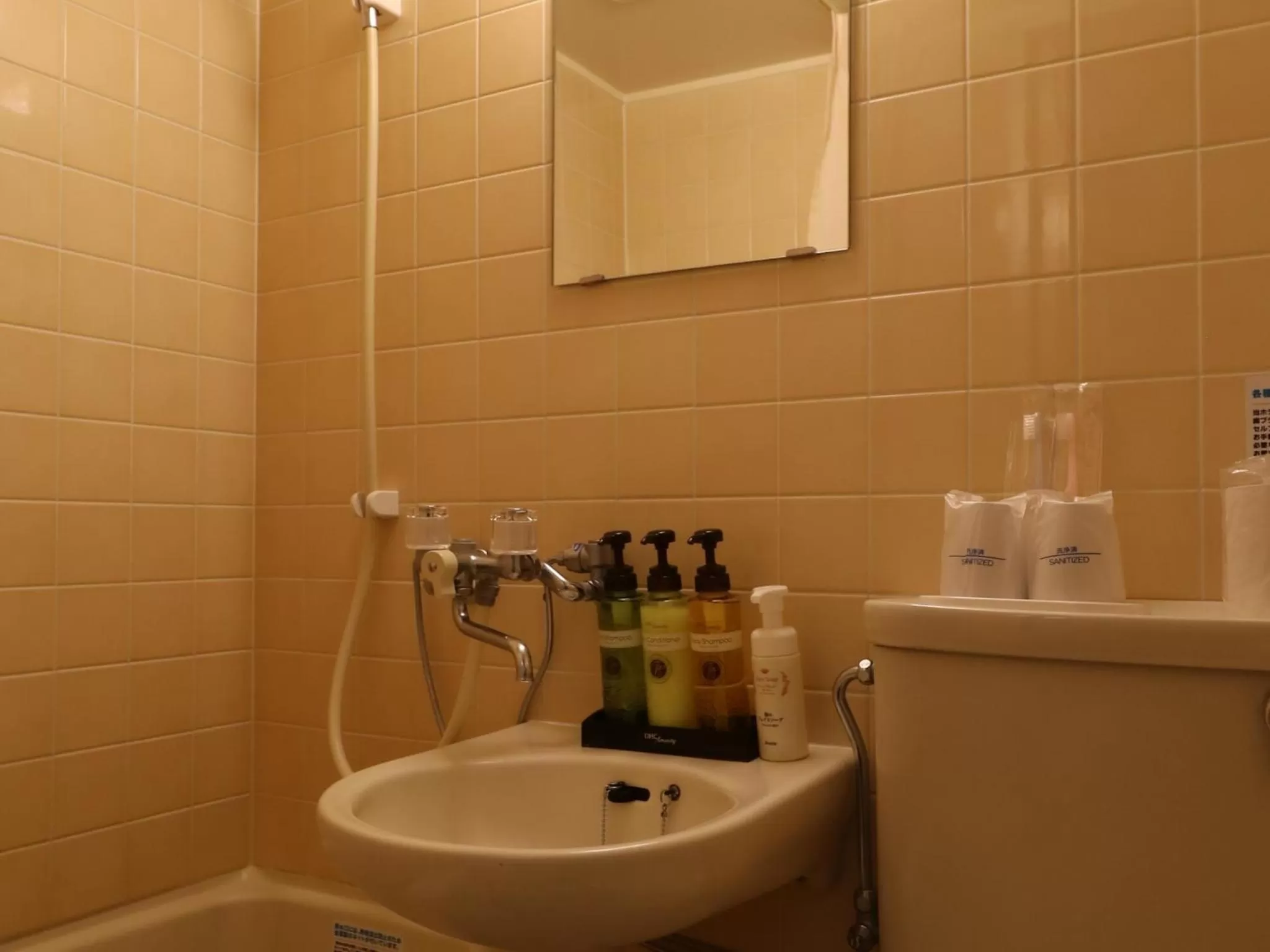 Bathroom in Odawara Terminal Hotel