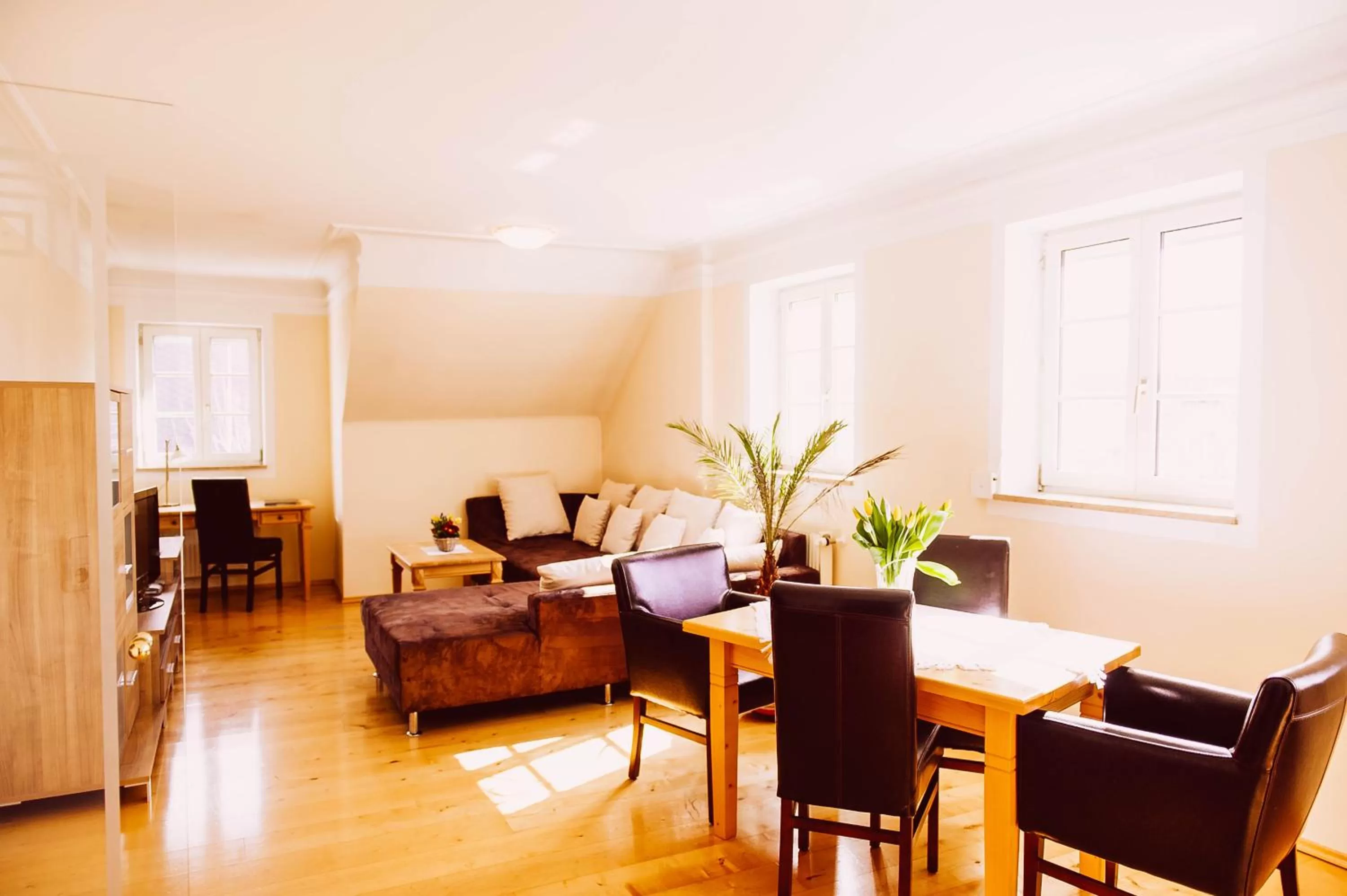 TV and multimedia in Schüdlbauer´s Hotel-Restaurant-Bar