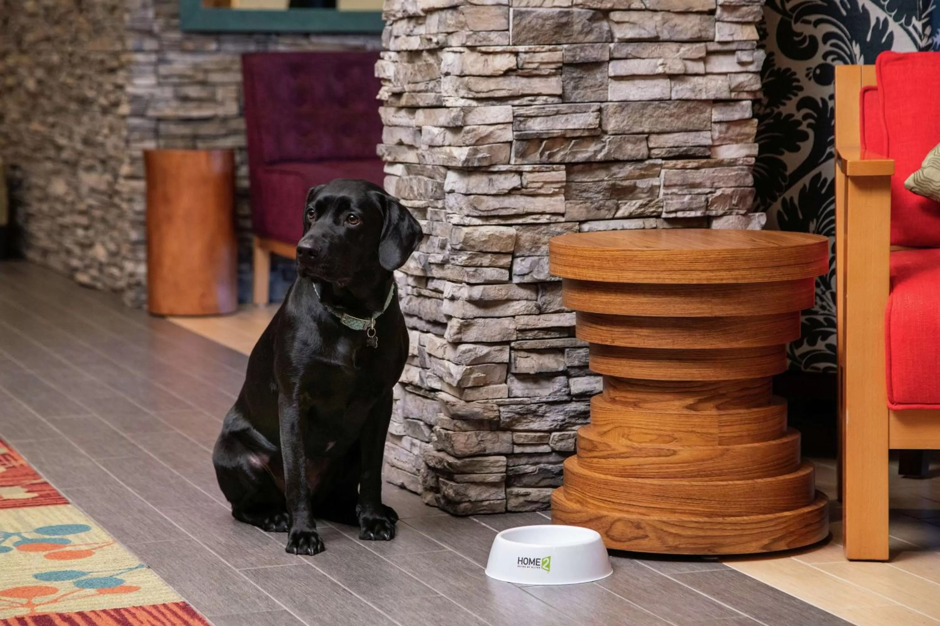 Lobby or reception in Home2 Suites by Hilton Anchorage/Midtown