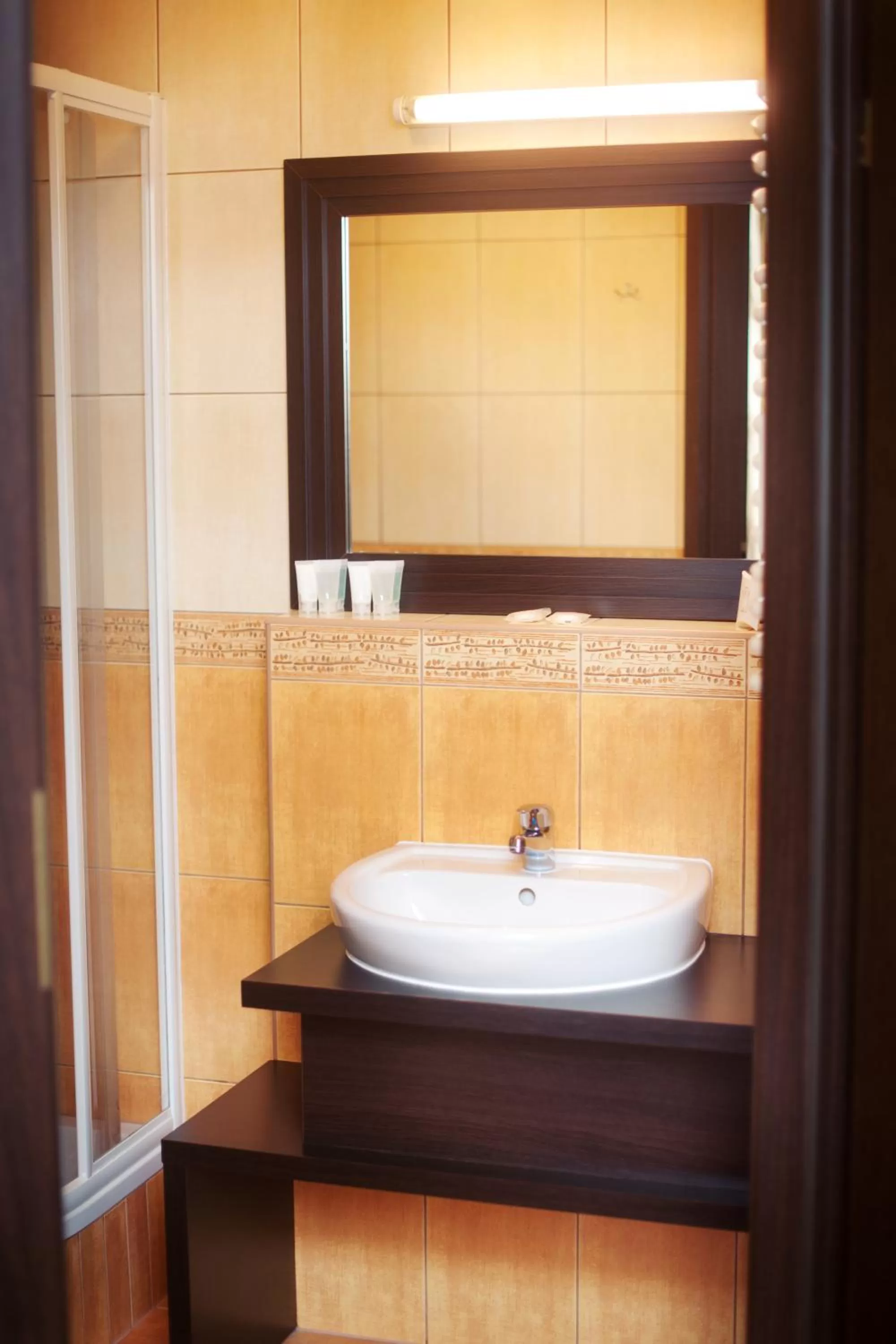 Bathroom in Hotel Wielopole