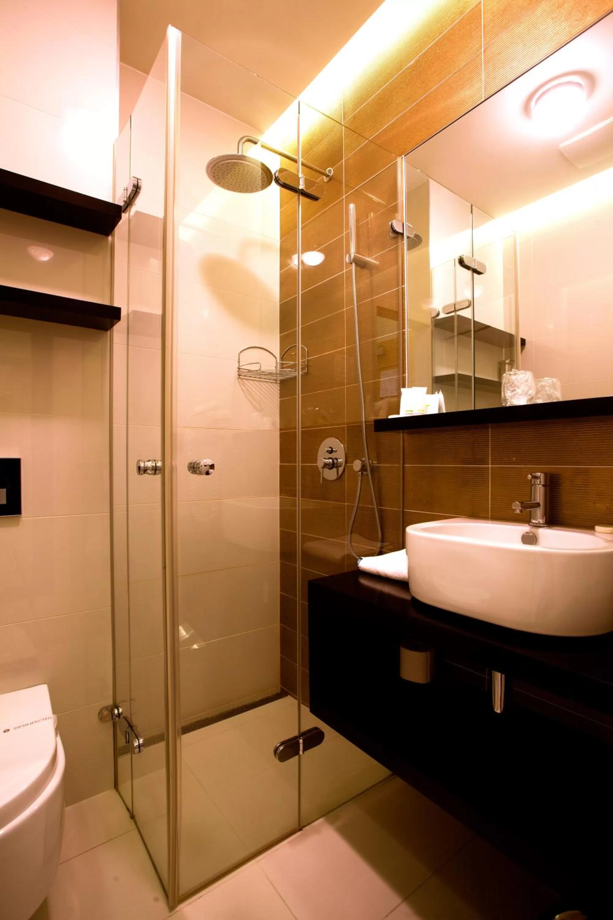 Bathroom in Hotel Ambiente Wellness & Spa