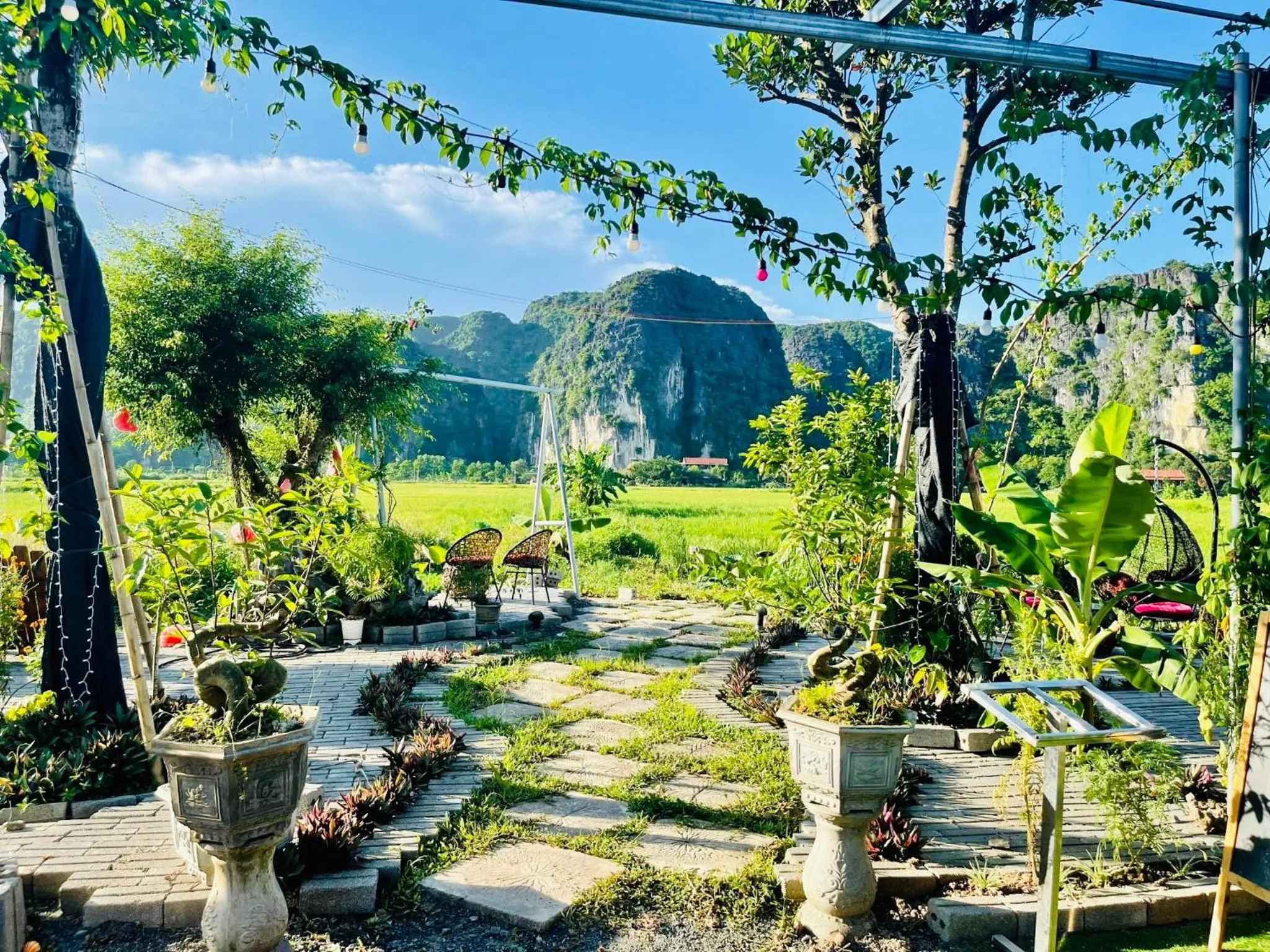Tam Coc Mountain View Homestay