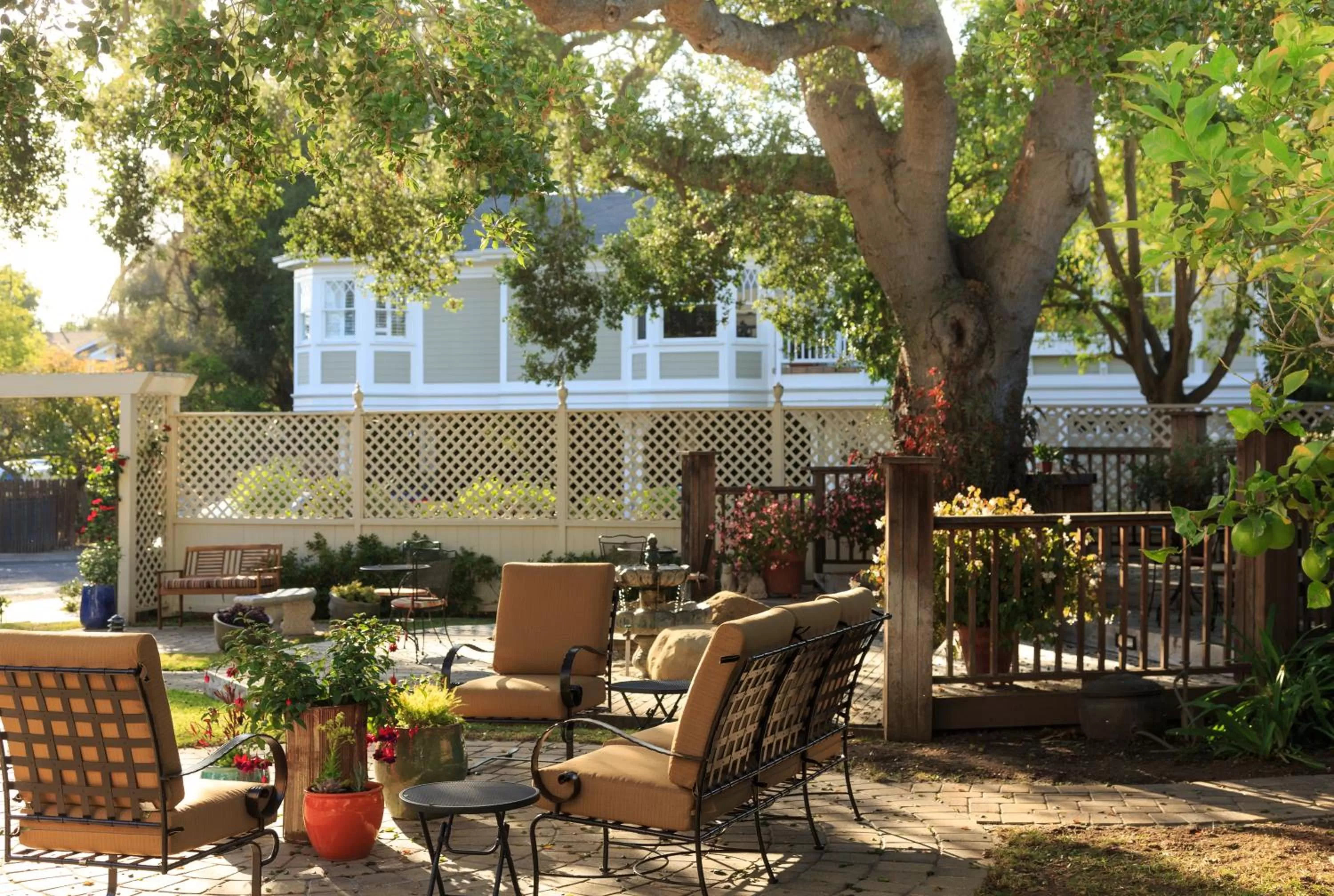 Garden in Cheshire Cat Inn & Cottages
