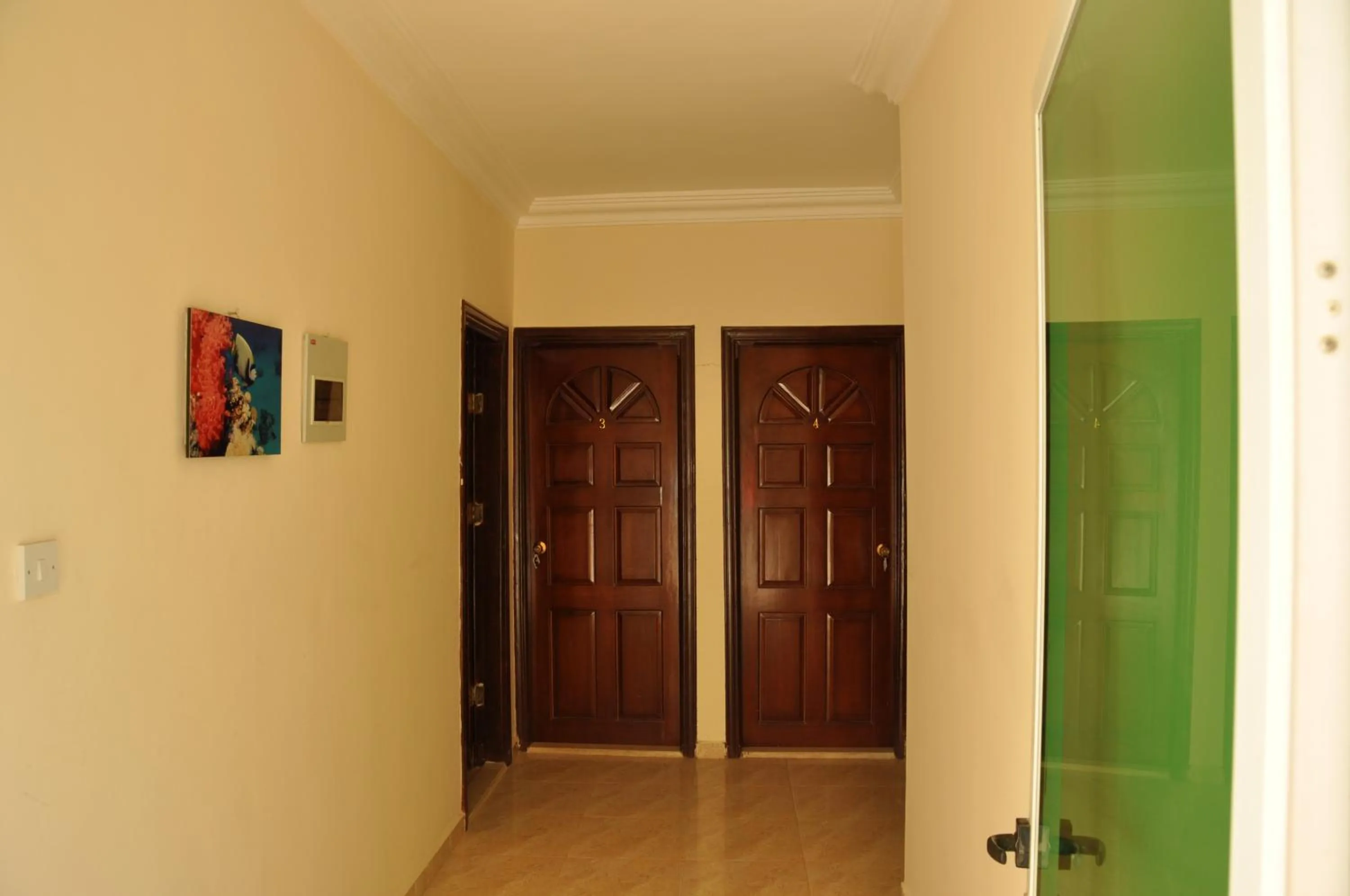 Facade/entrance in Red Sea Dive Center