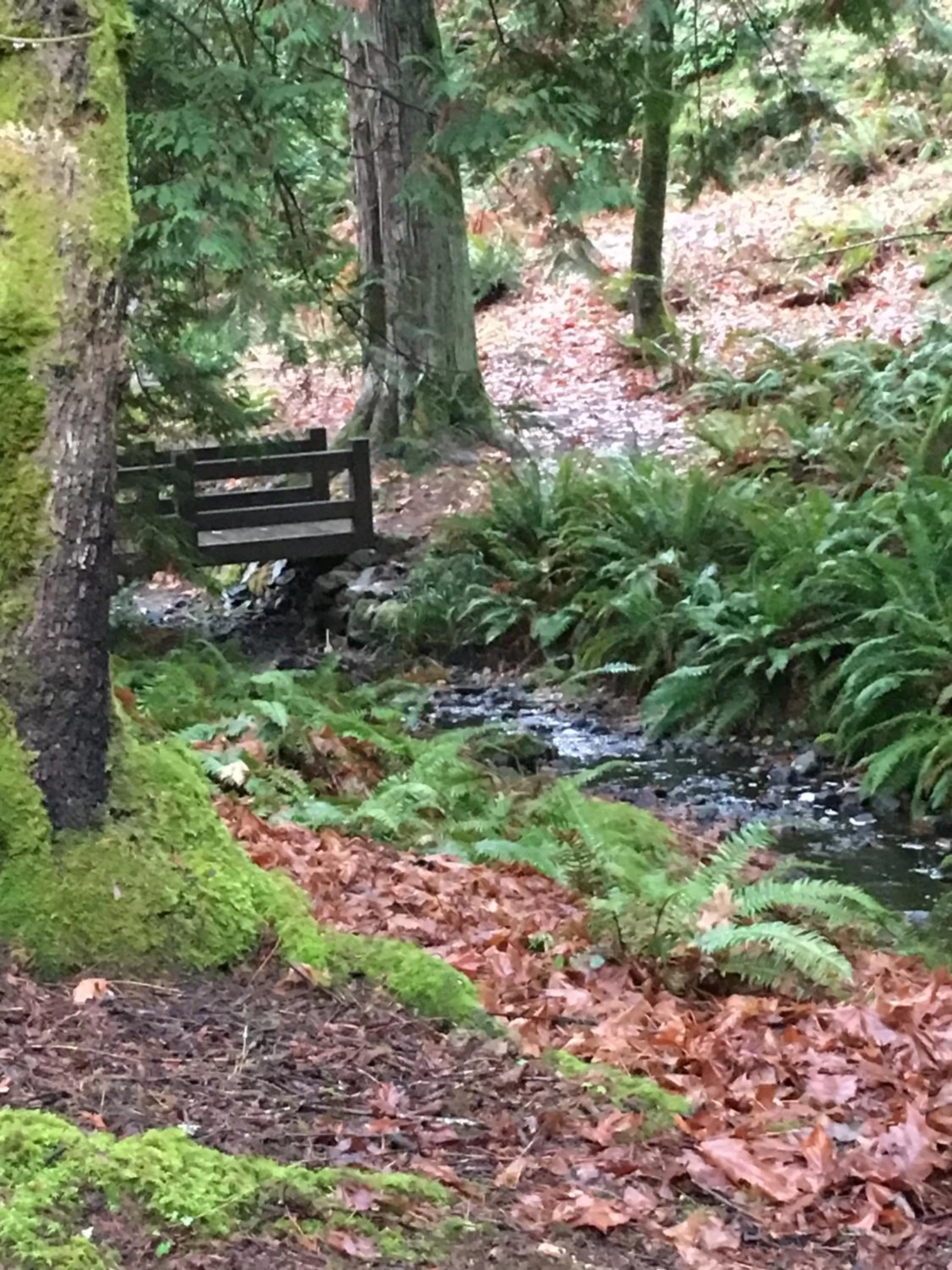 Amante Luxury Bed & Breakfast