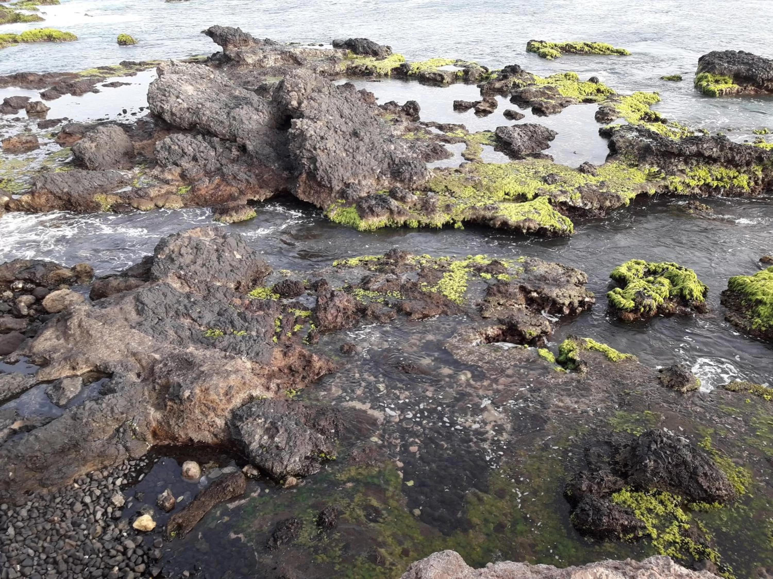 Beach in LT Aparthotel