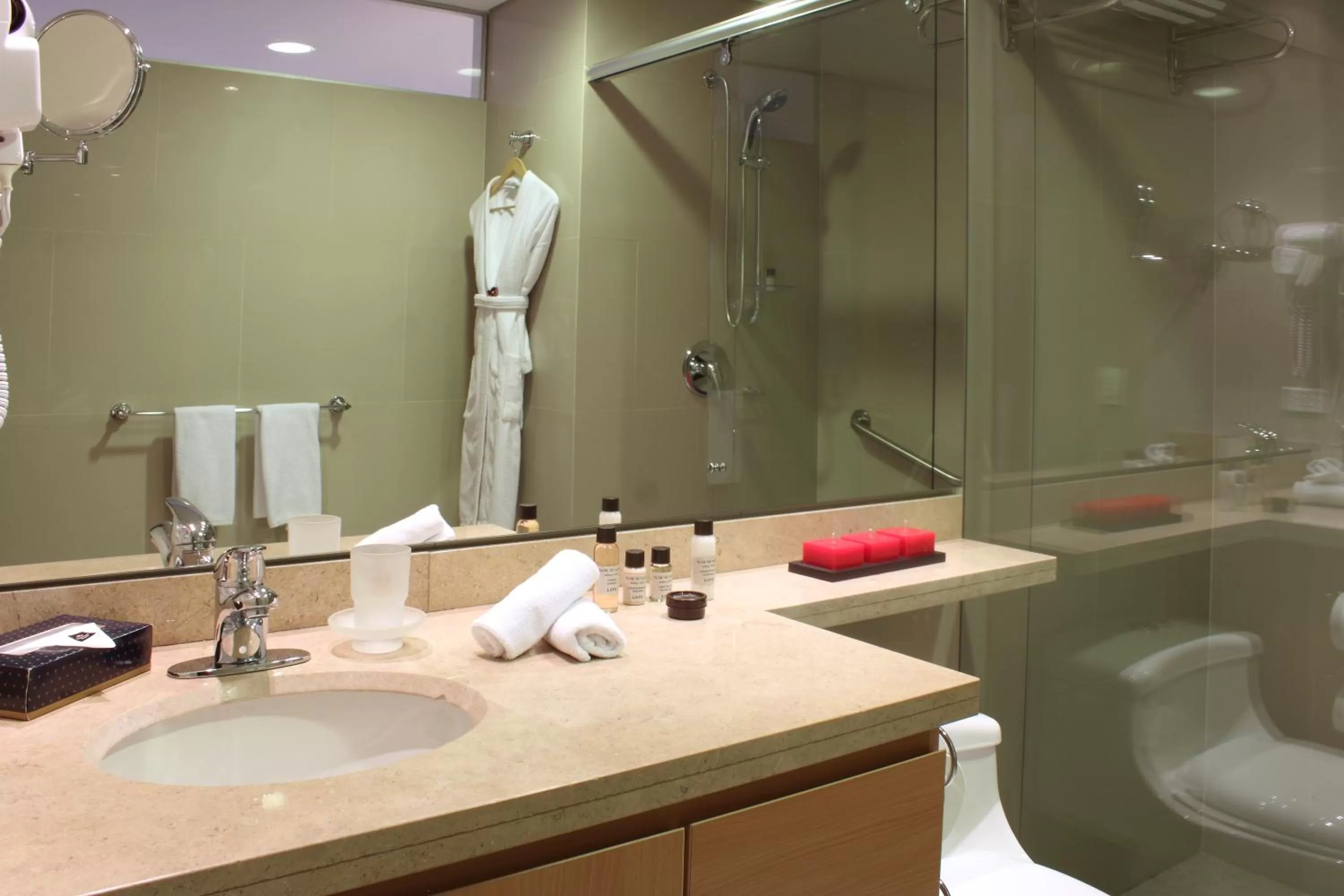 Toilet in Faranda Collection Bogota, a member of Radisson Individuals