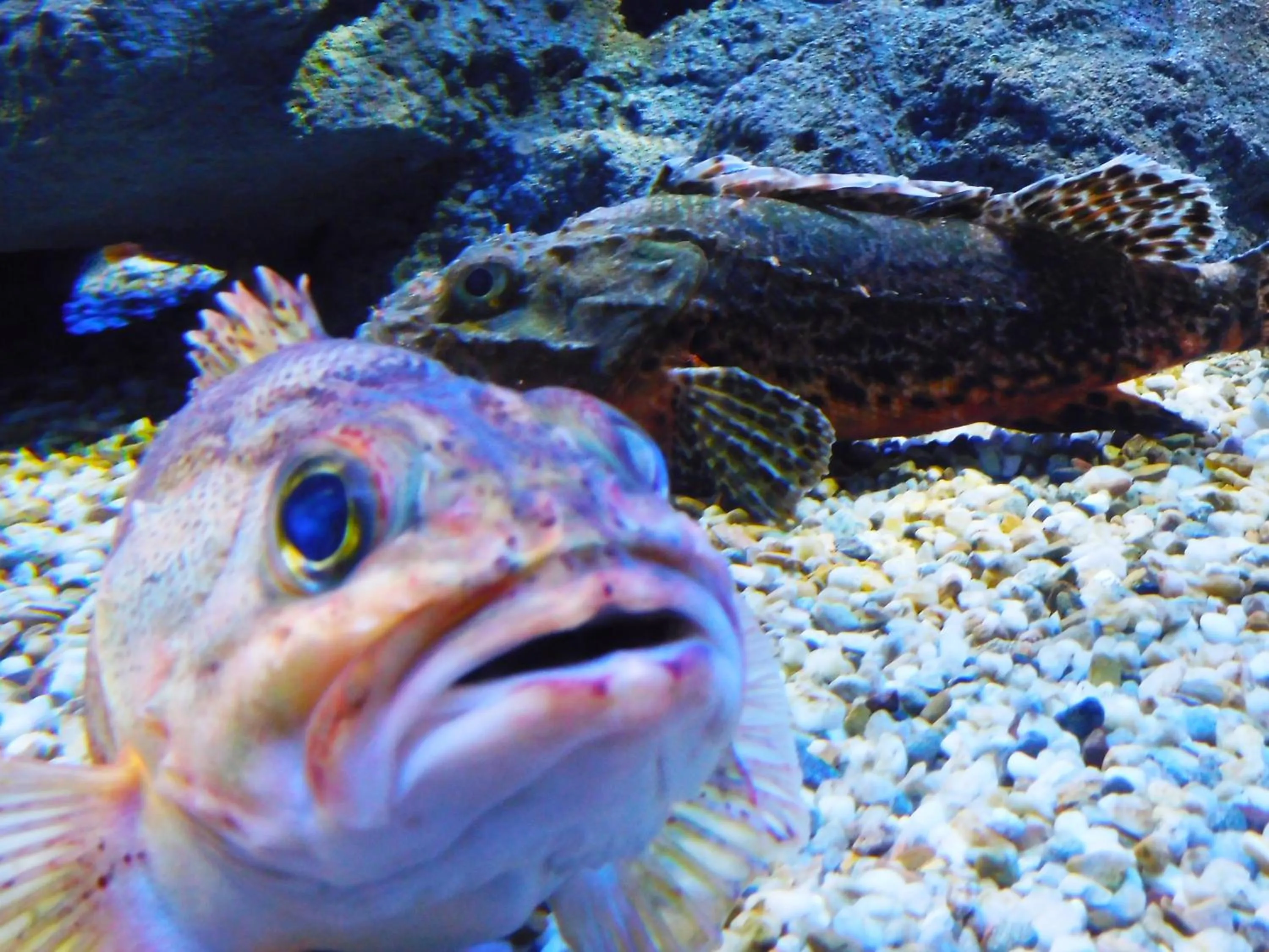 Nearby landmark in KOKO HOTEL Higashiosaka - formerly Hotel Wing International Select Higashi Osaka