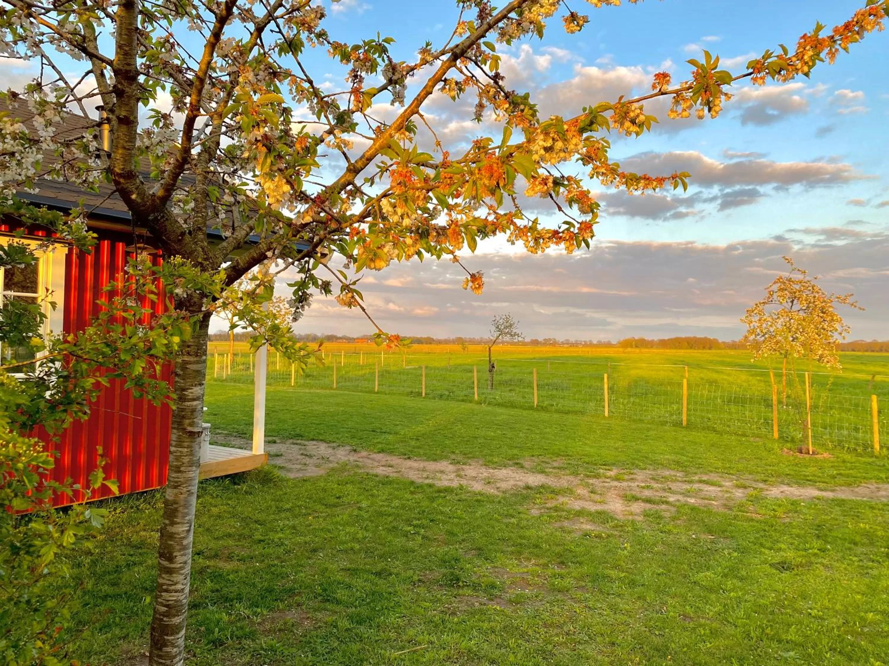 Natural landscape in De Heeren Hoeve Carpe Diem