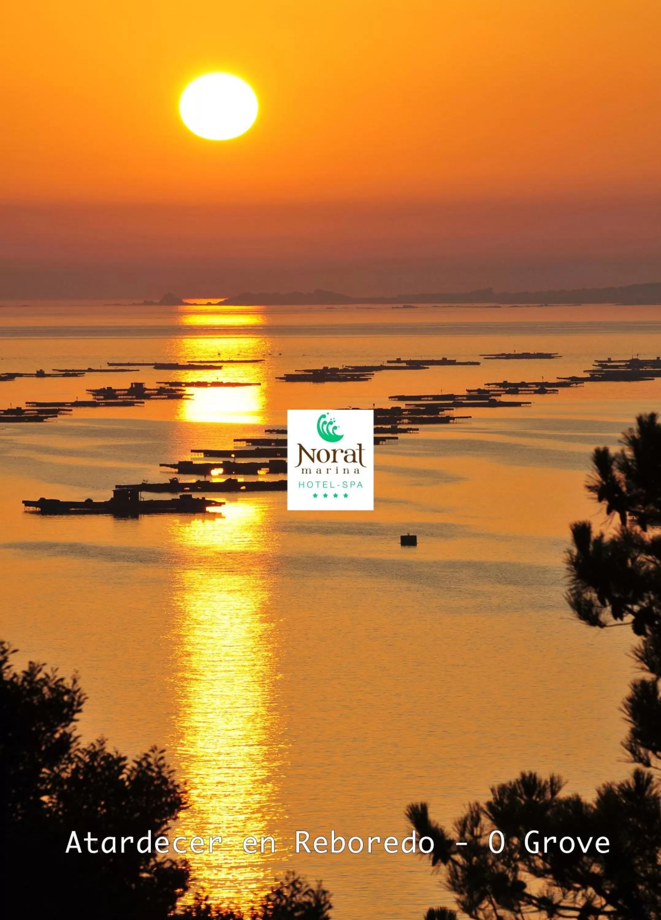 Activities in Hotel Norat Marina & Spa 4* Superior