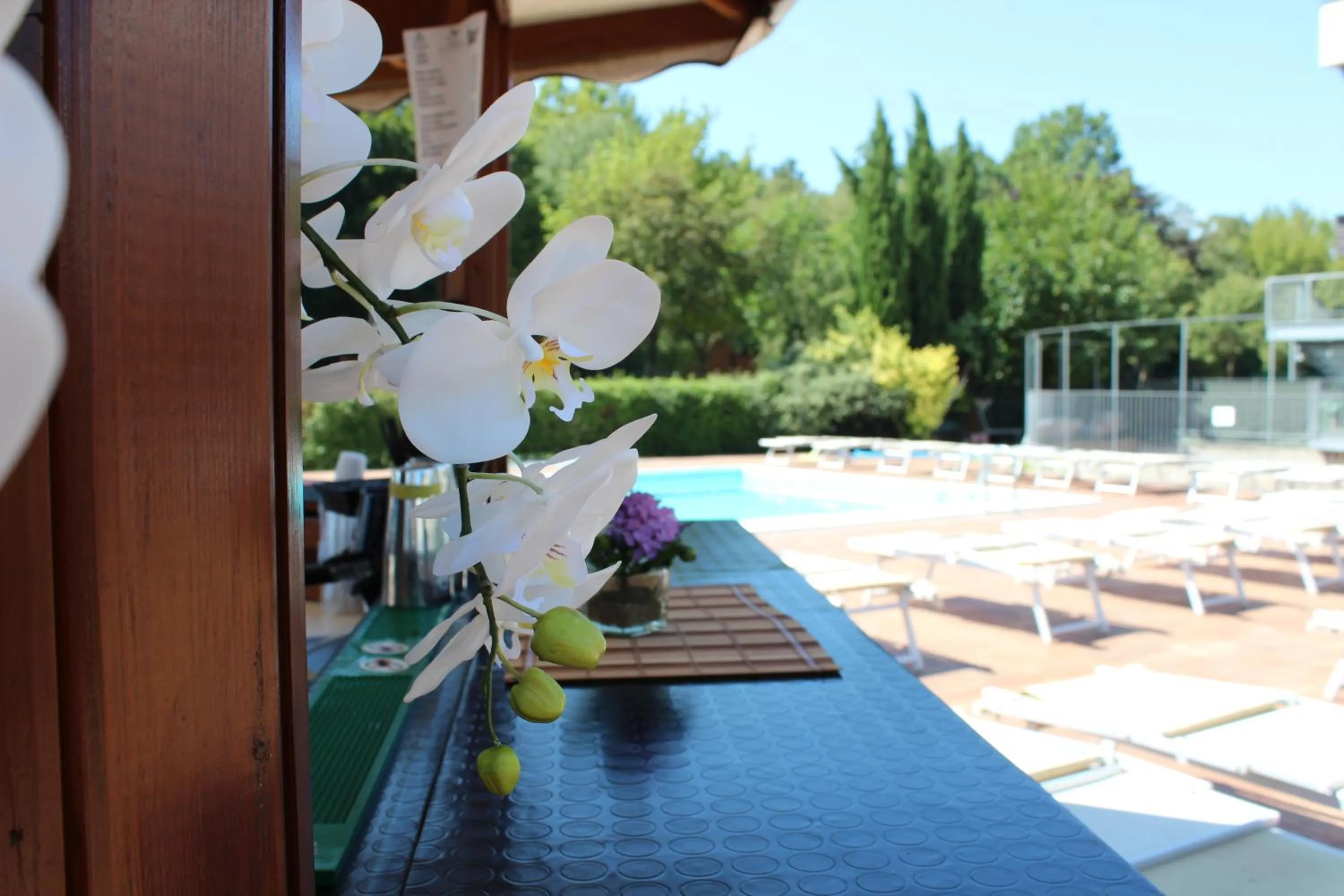 Restaurant/places to eat in Piccolo Hotel Nogara