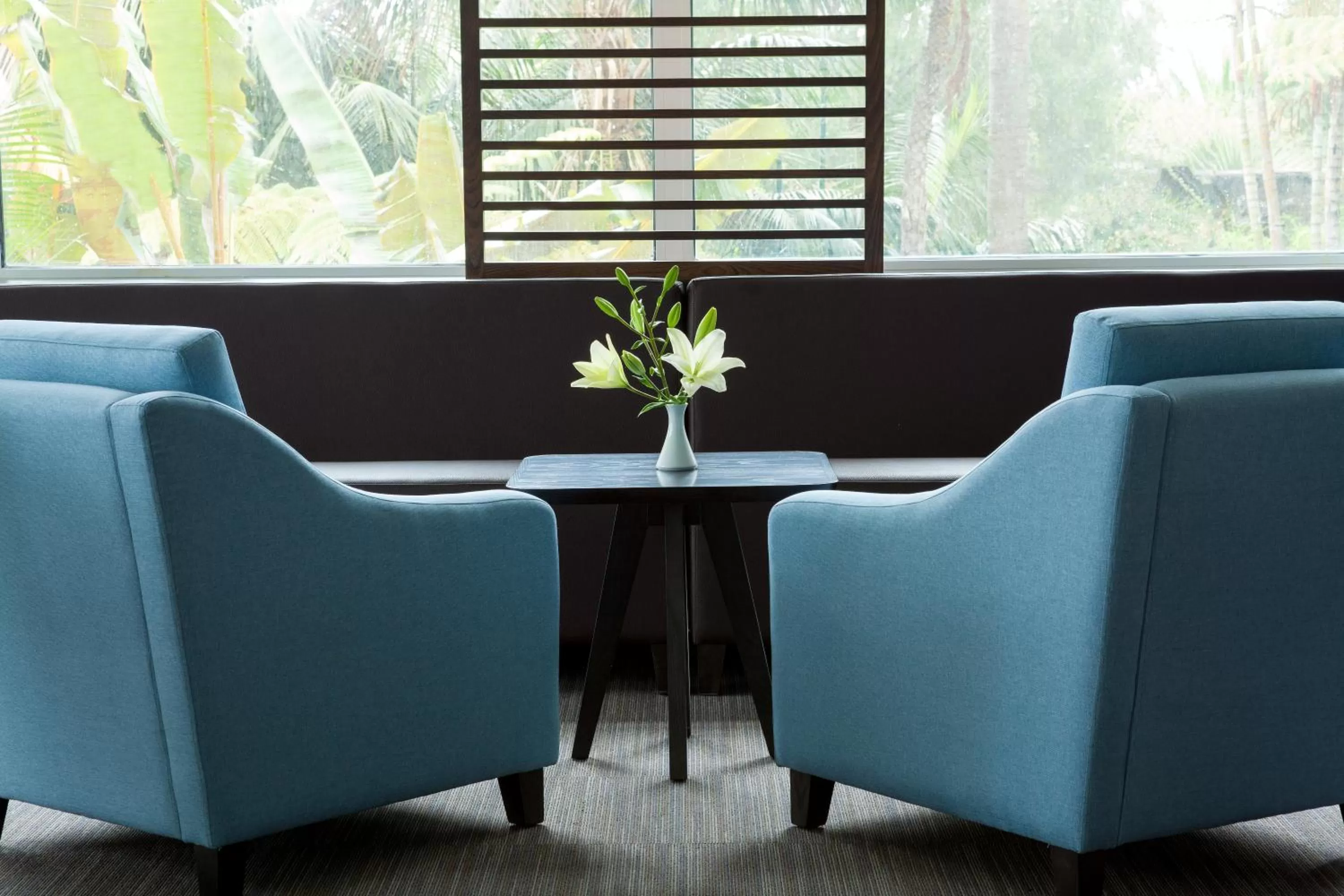 Communal lounge/ TV room in Hotel Tigaiga