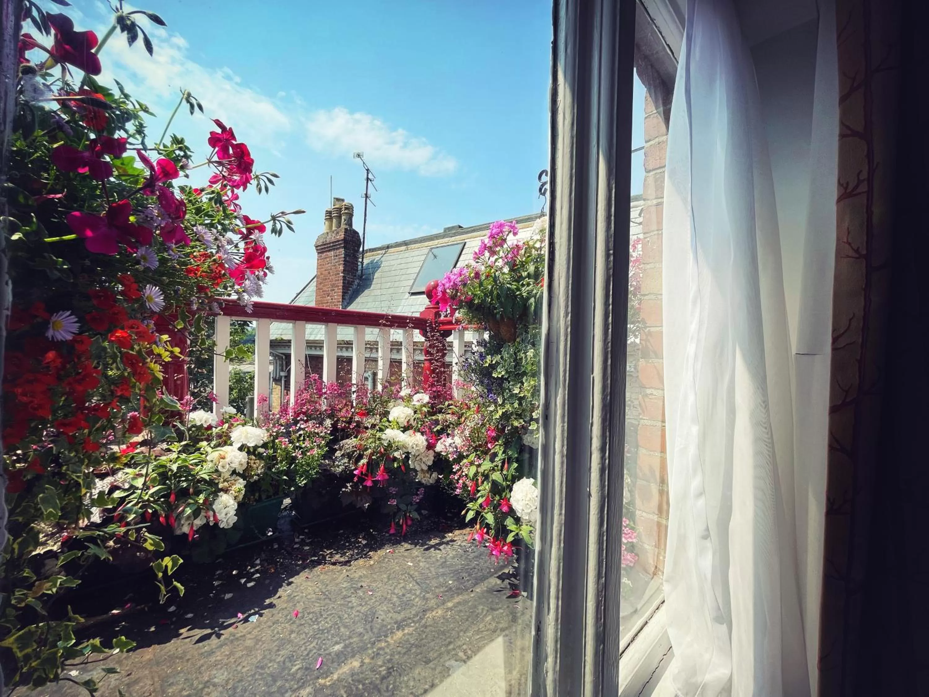 Garden view, Property Building in The Robin Hill