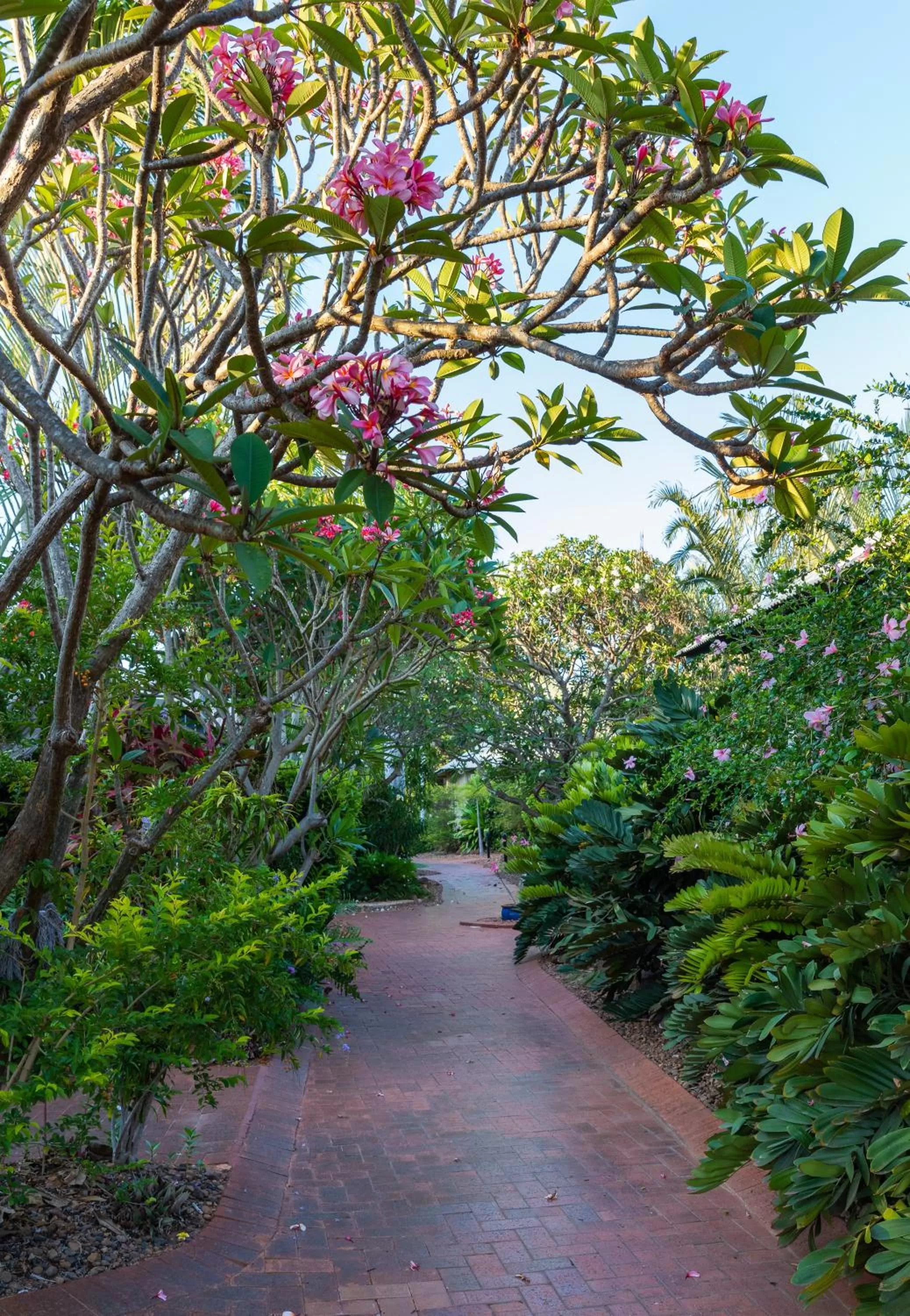 Natural landscape in Broome Beach Resort - Cable Beach, Broome