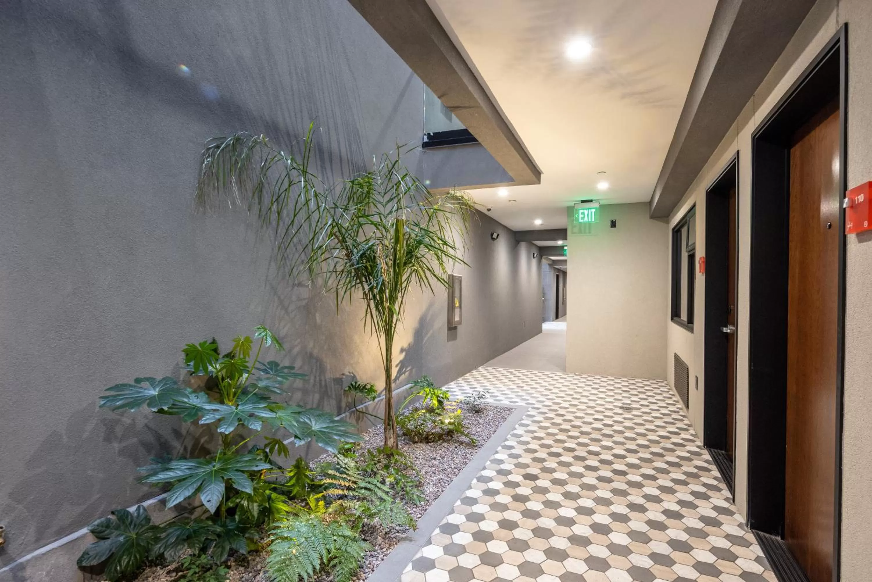 Natural landscape in Infinity Hotel San Francisco, Tapestry Collection by Hilton