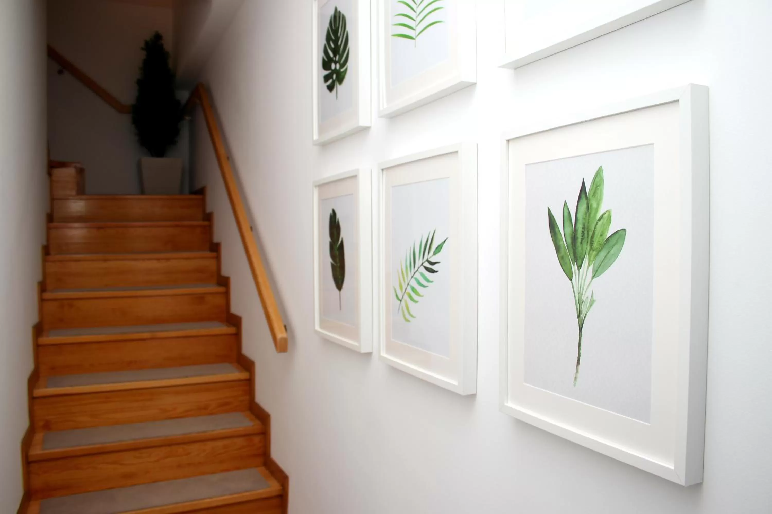 Facade/entrance in Bellu Suites