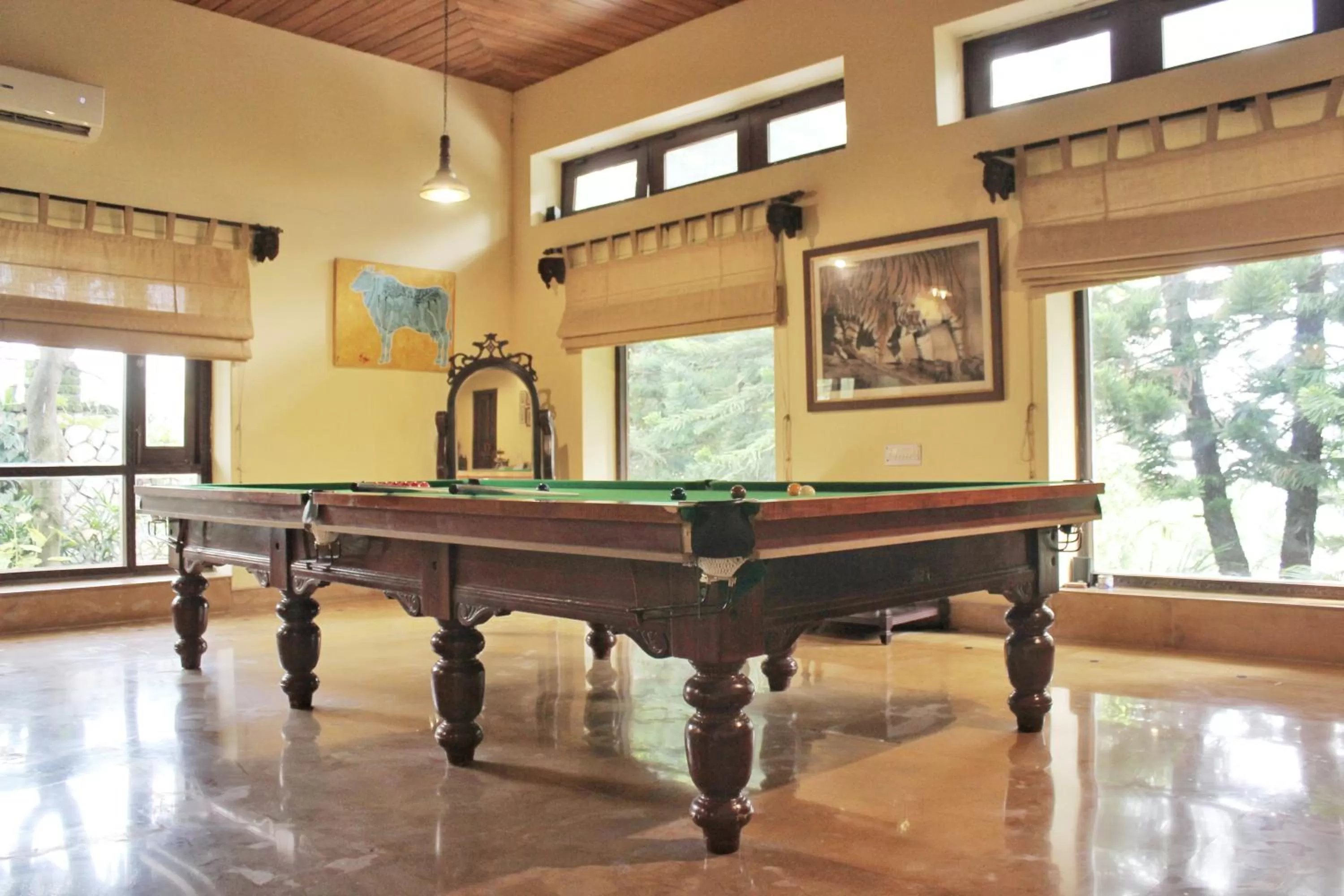 Billiard in Tree of Life Resort Dehradun Foothills