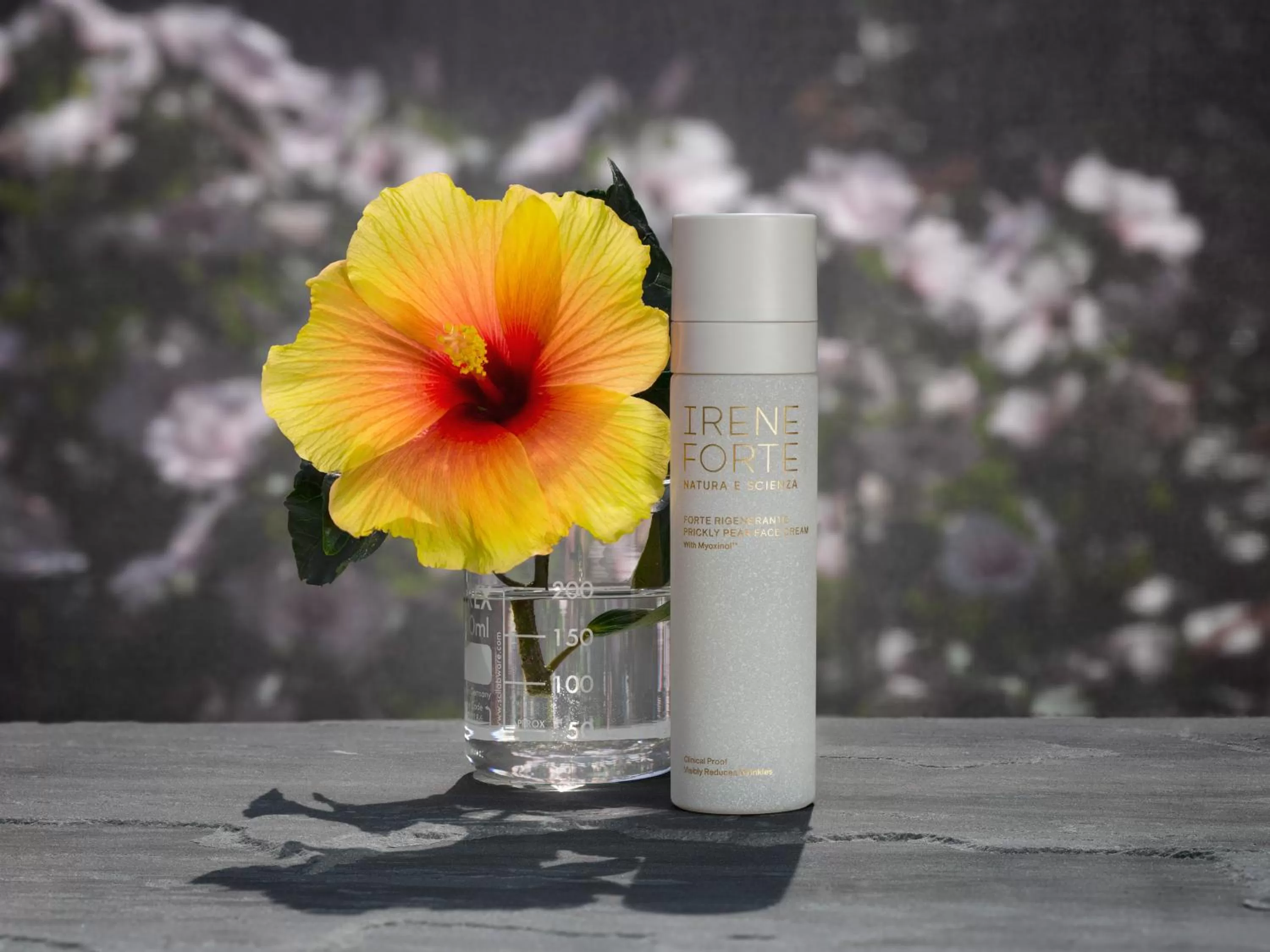 Spa and wellness centre/facilities in The Vineyard Hotel & Spa