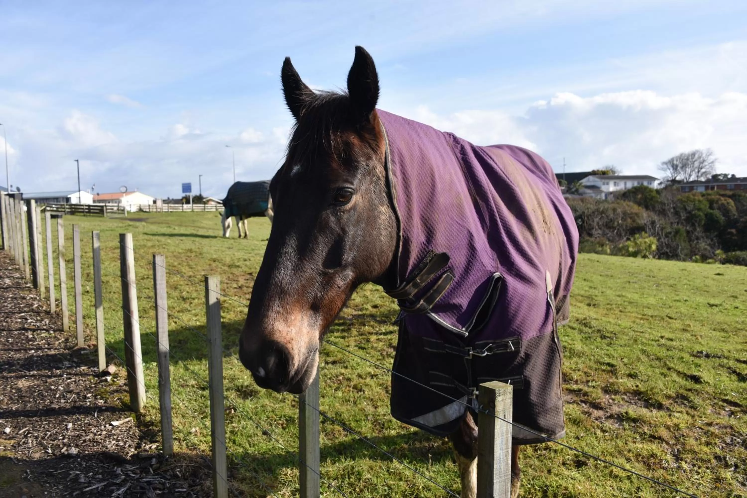 Activities in Regal Residency