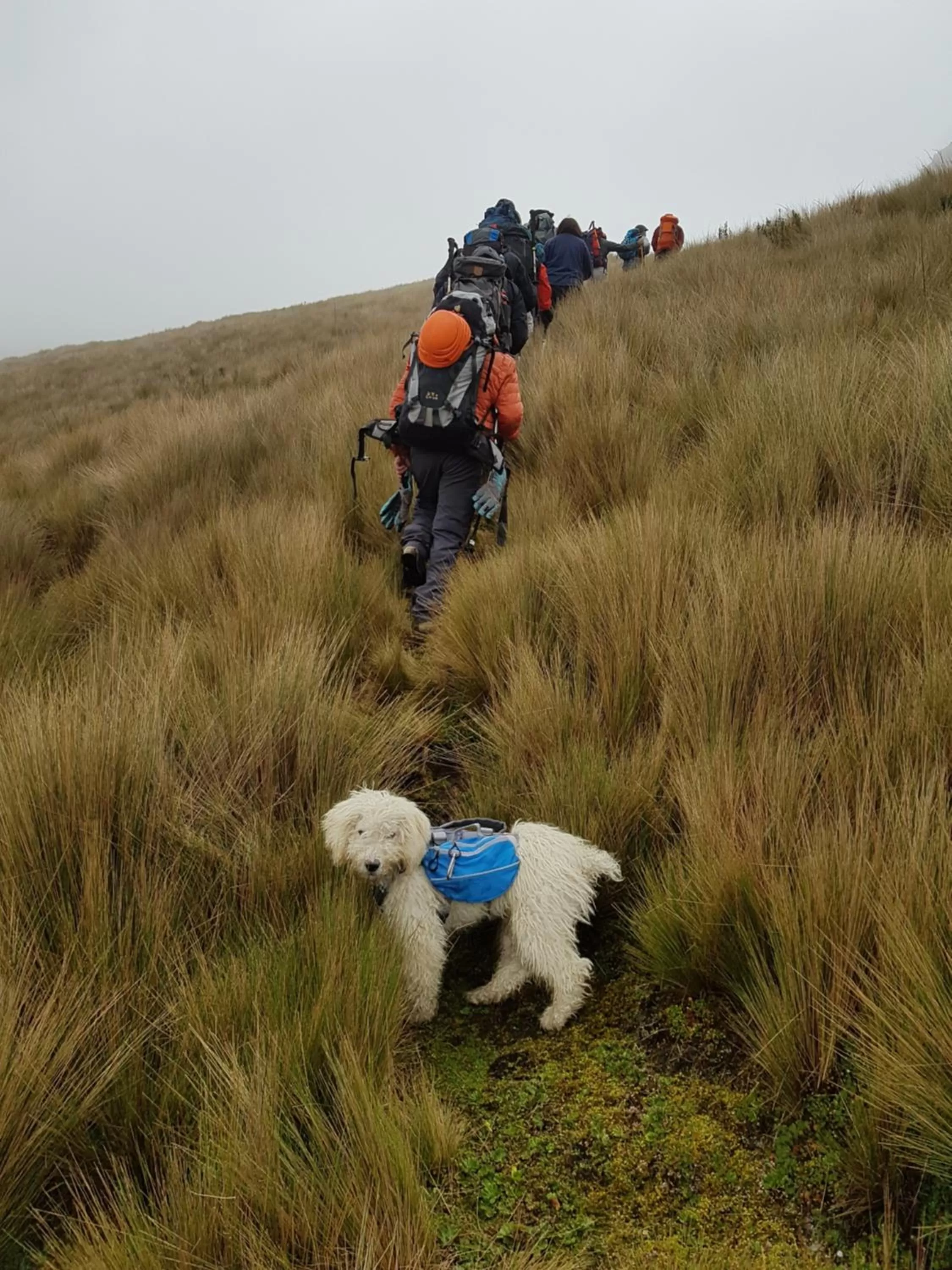 Hiking in Casa del Montañero