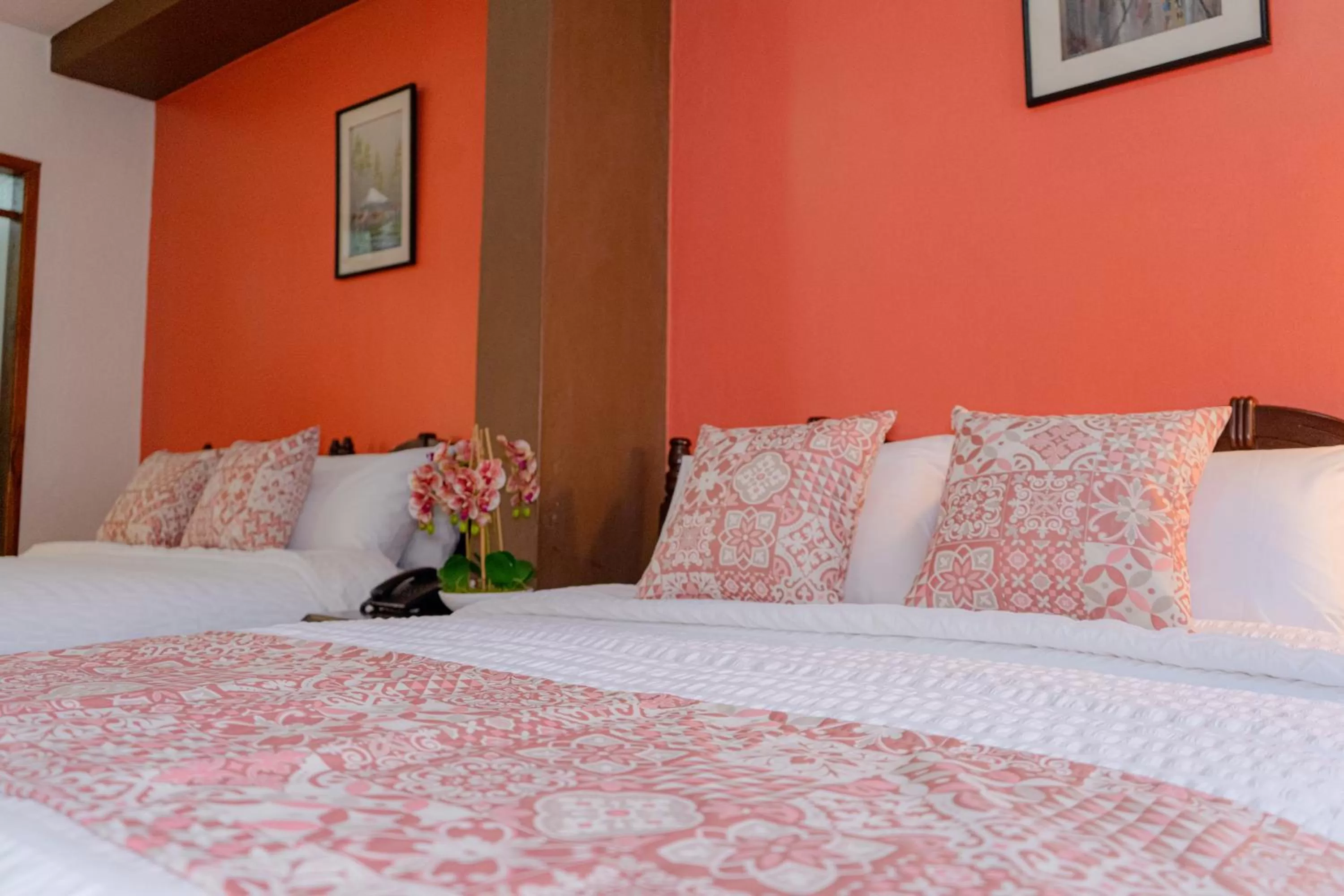 Bed in Rincón Familiar Hostel Boutique