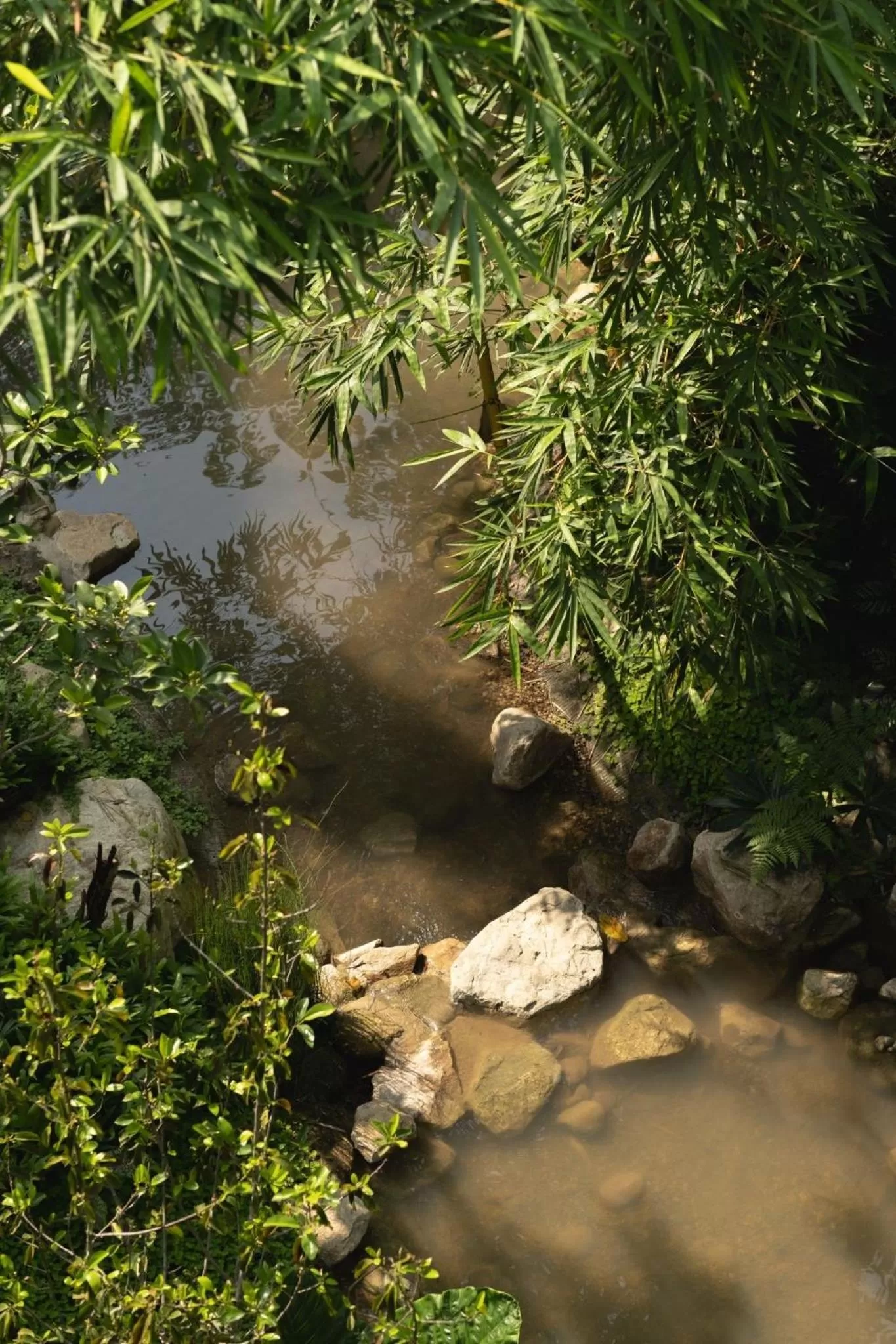 Natural landscape in Proud Phu Fah Muang Chiang Mai