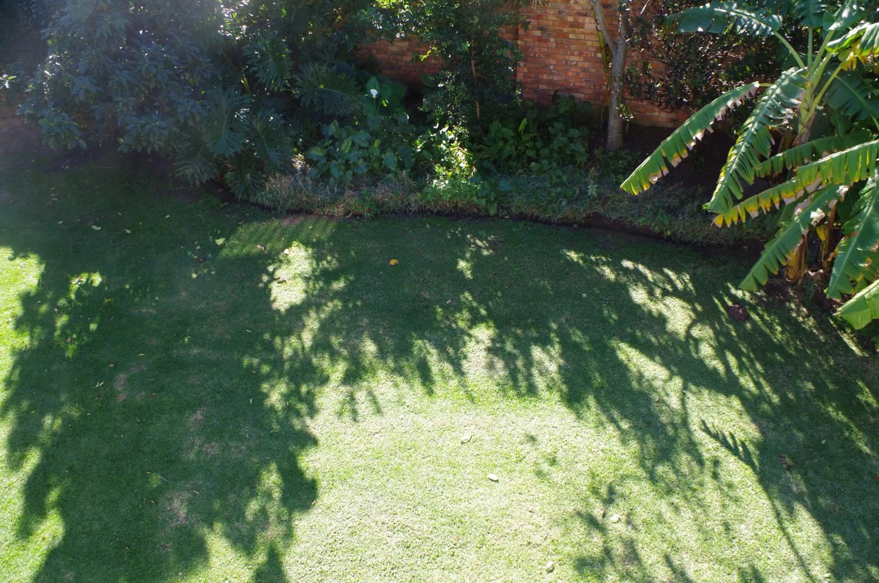 Garden in Tertia's Logcabin