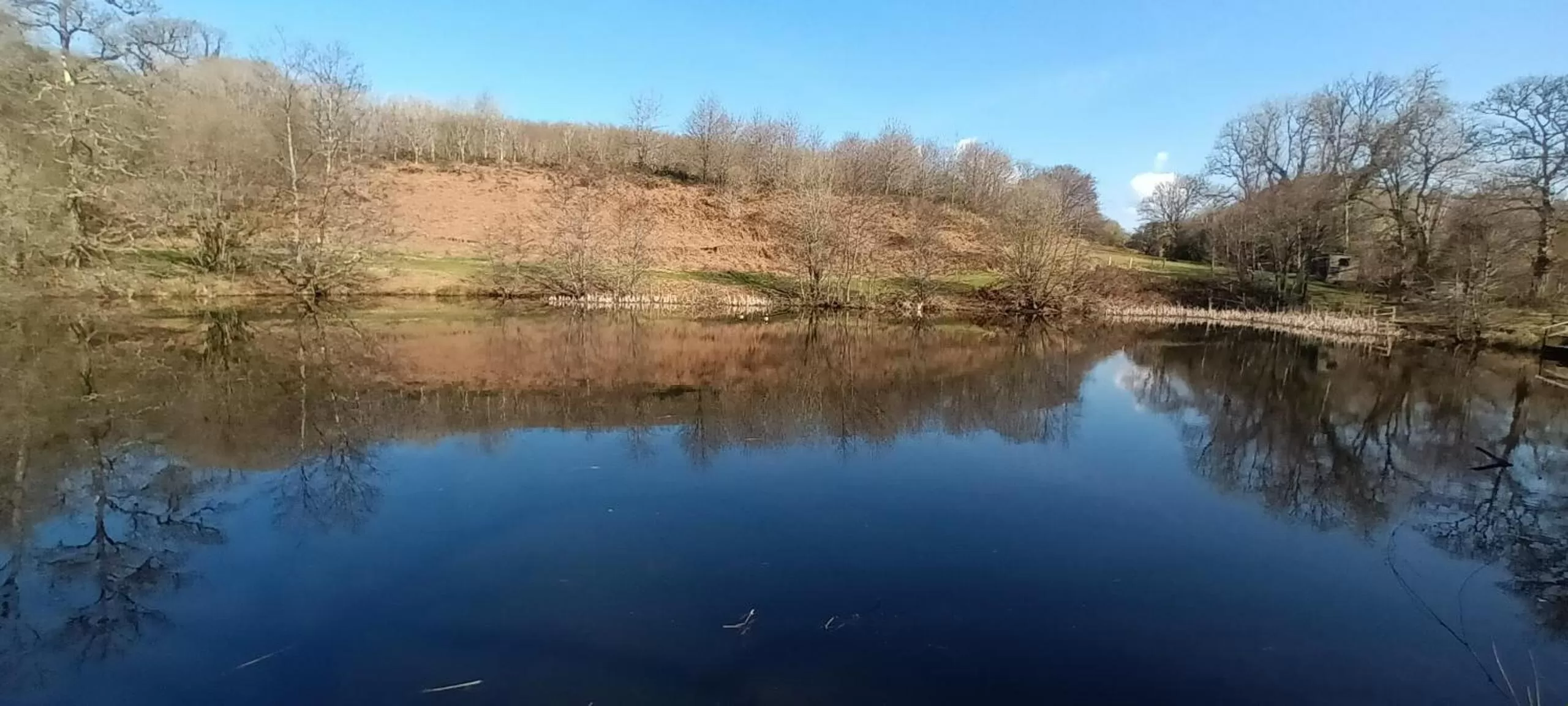 Natural landscape in Henllys Estate B and B