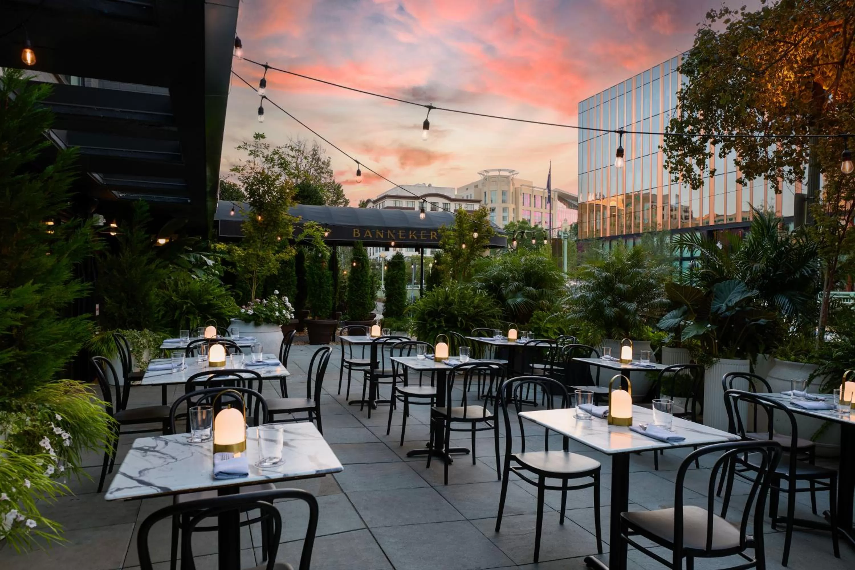 Garden in Kimpton Banneker Hotel by IHG