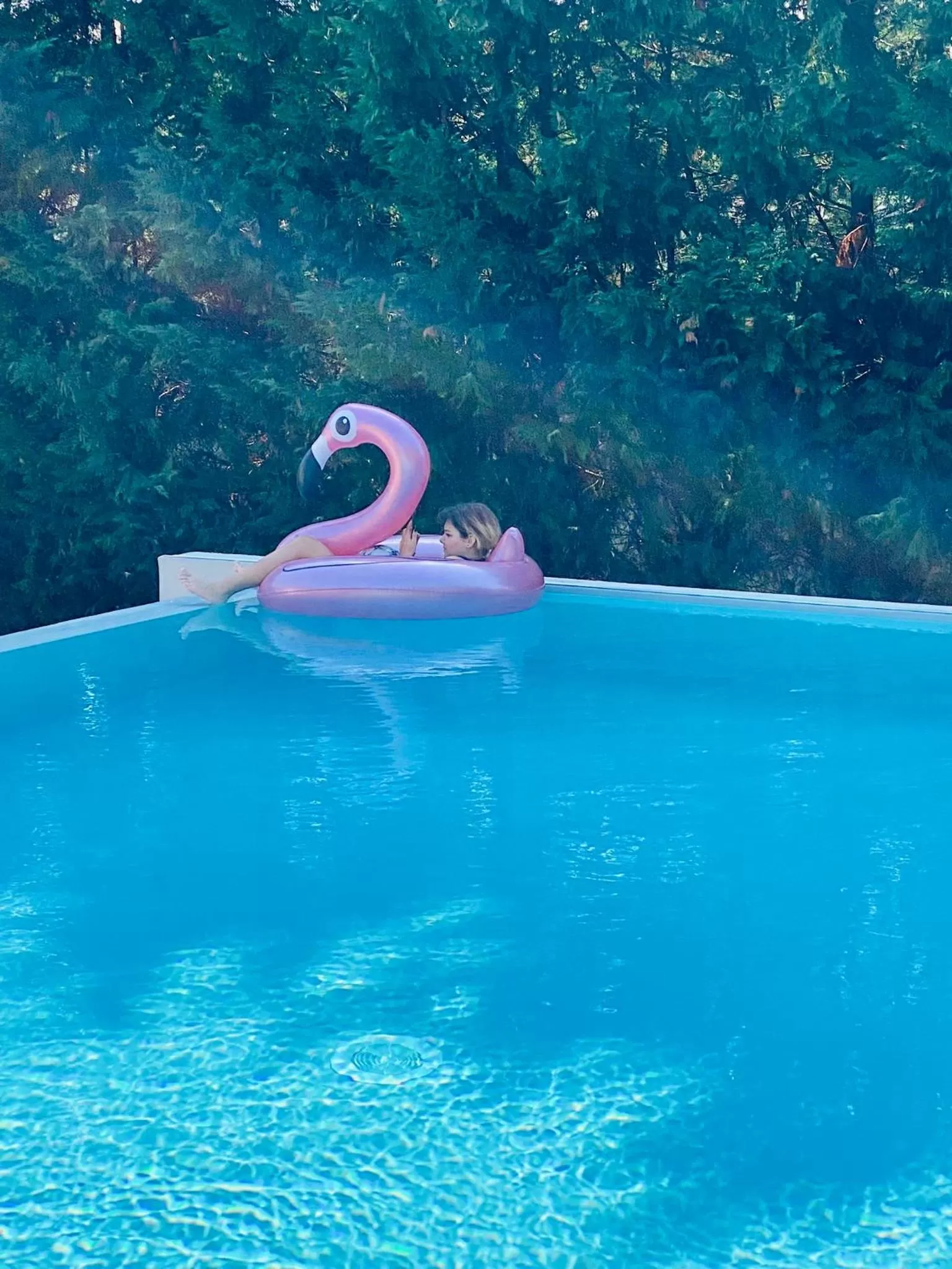 Bird's eye view in Il BASÍN