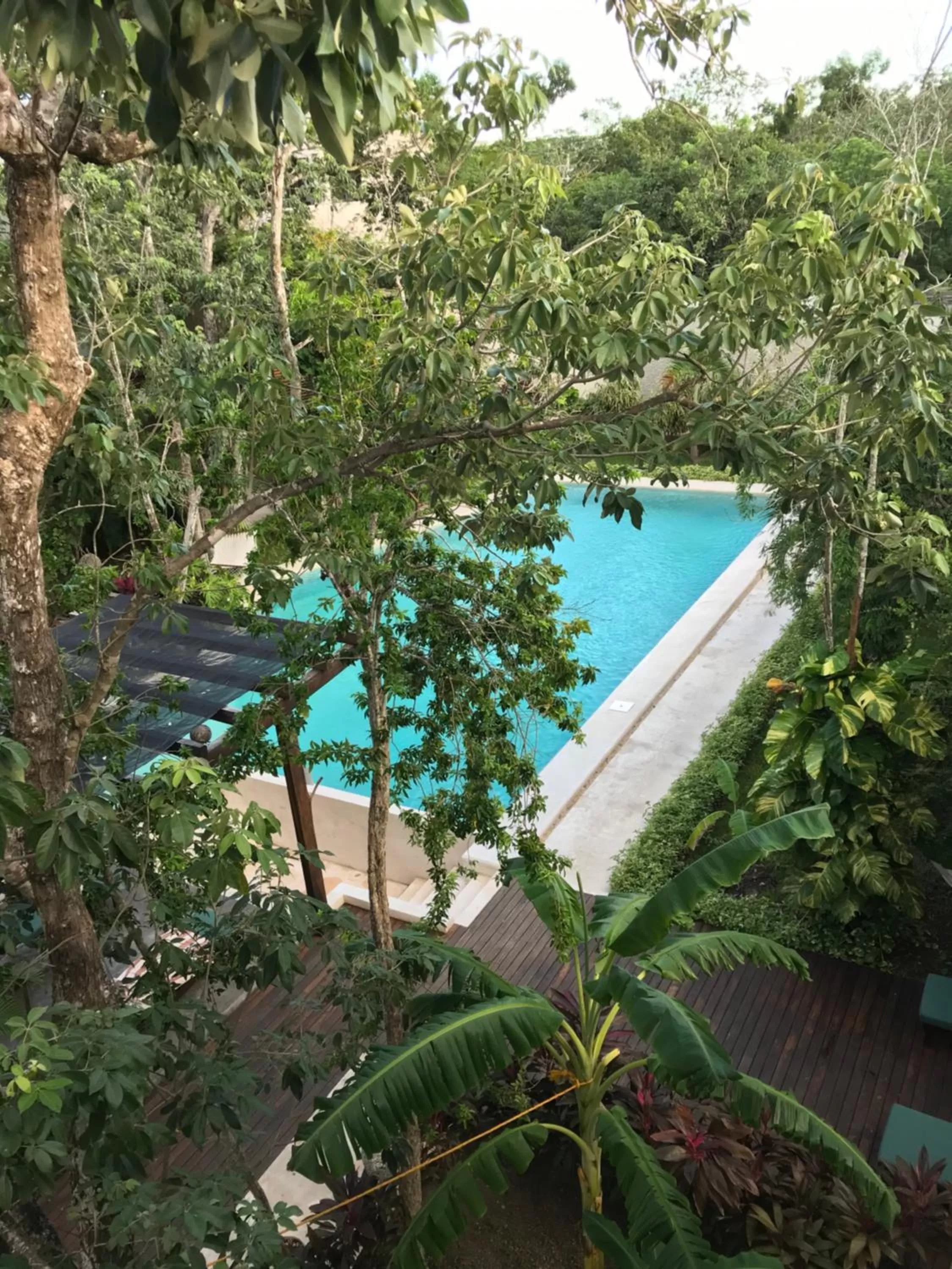 Swimming pool in Panacea Condo Tulum