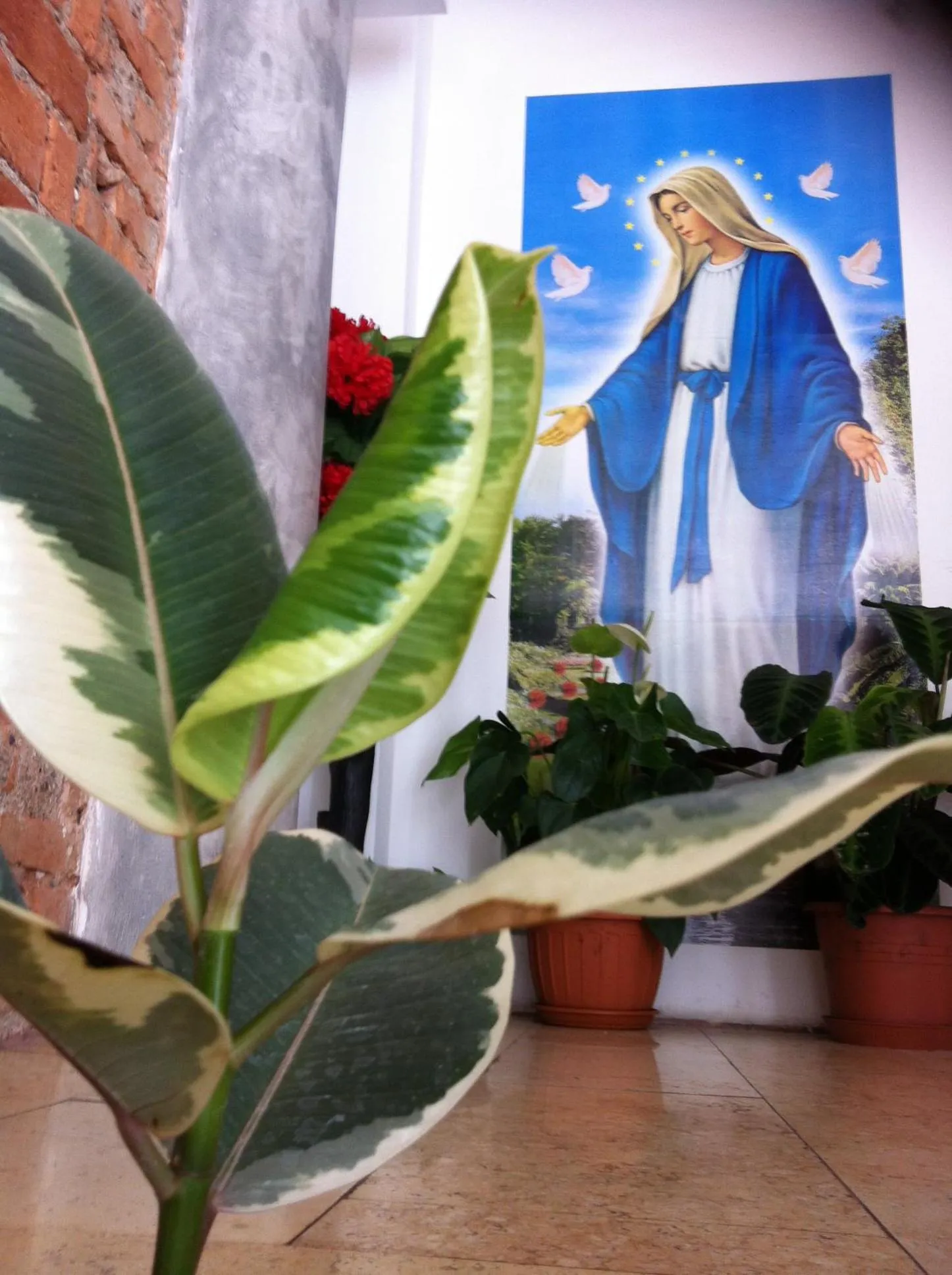 Facade/entrance in HOTEL Poma