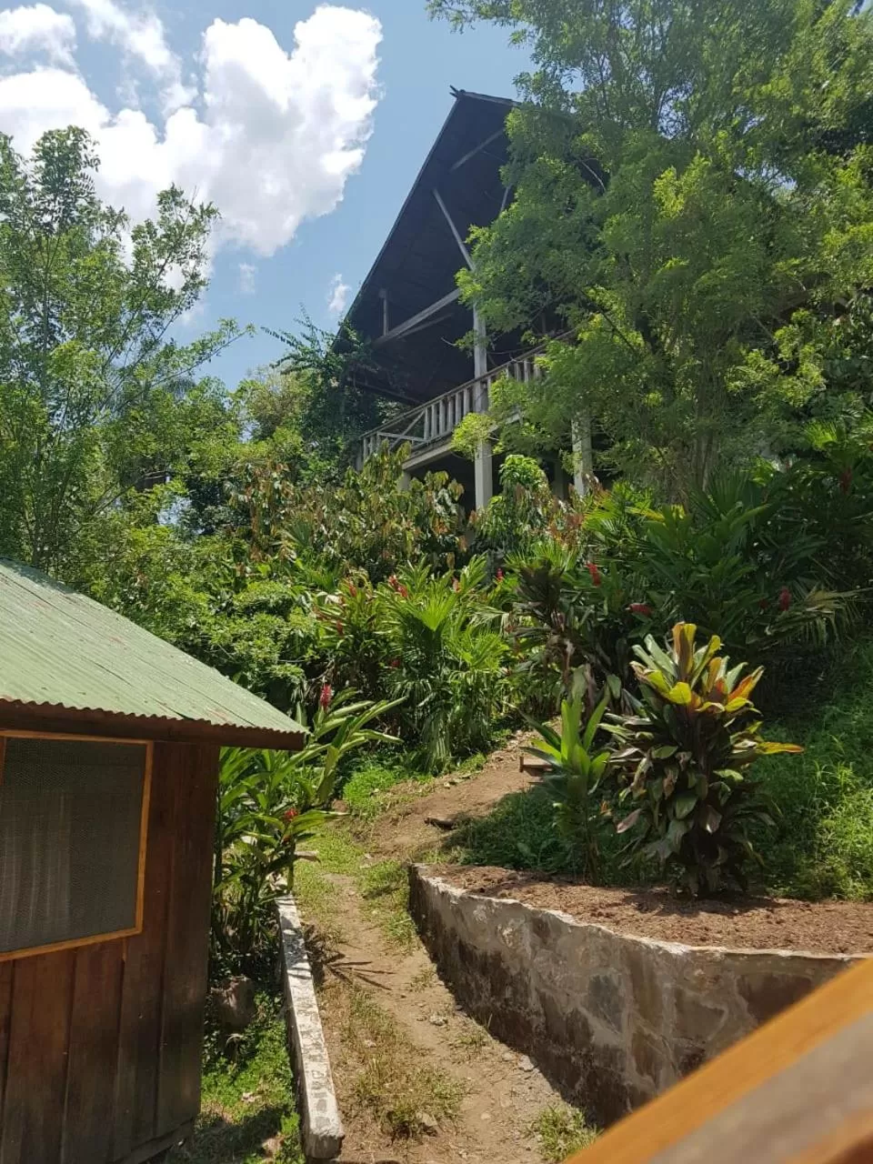 Area and facilities in Utopia Eco Hotel