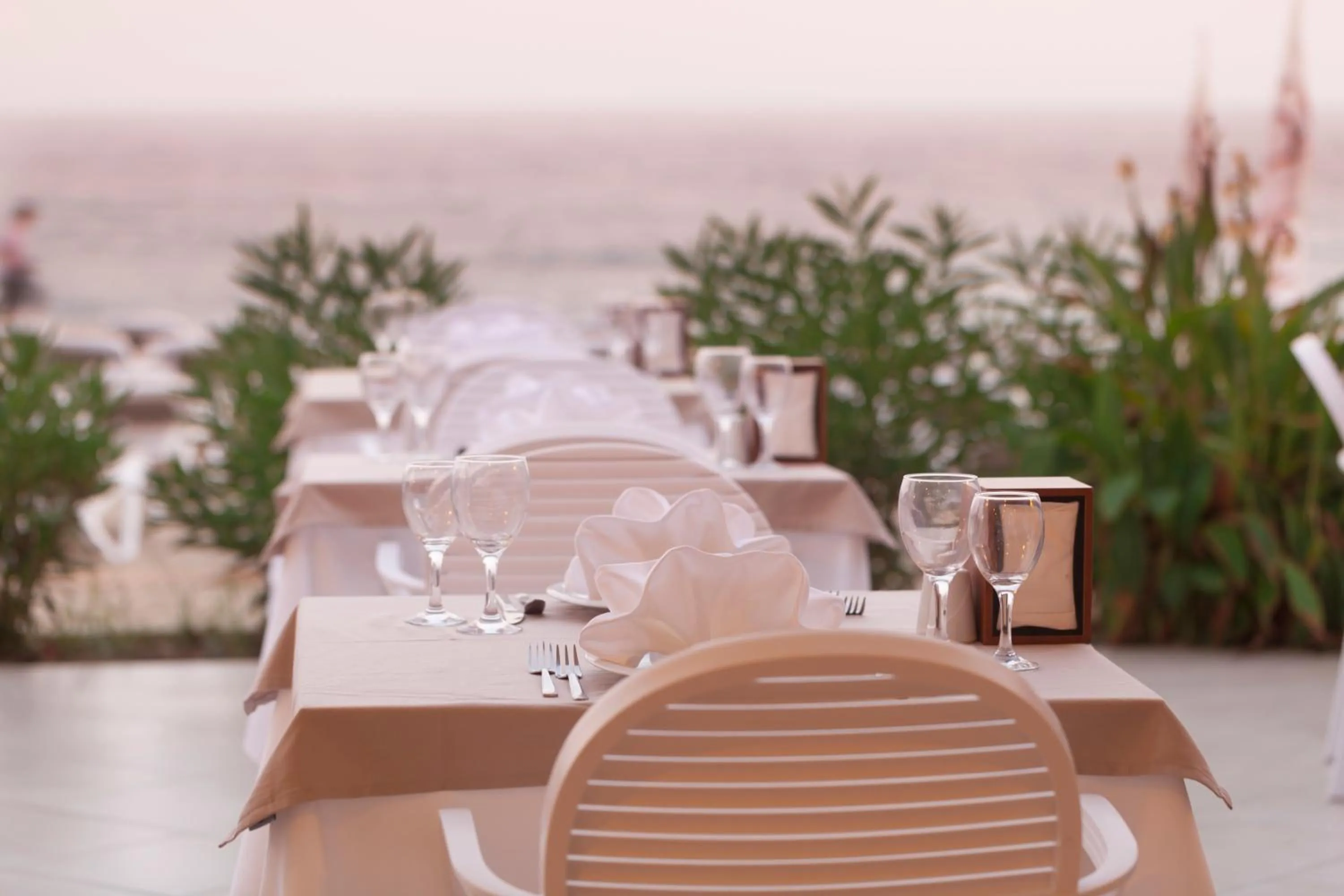 Restaurant/places to eat in Xperia Saray Beach Hotel